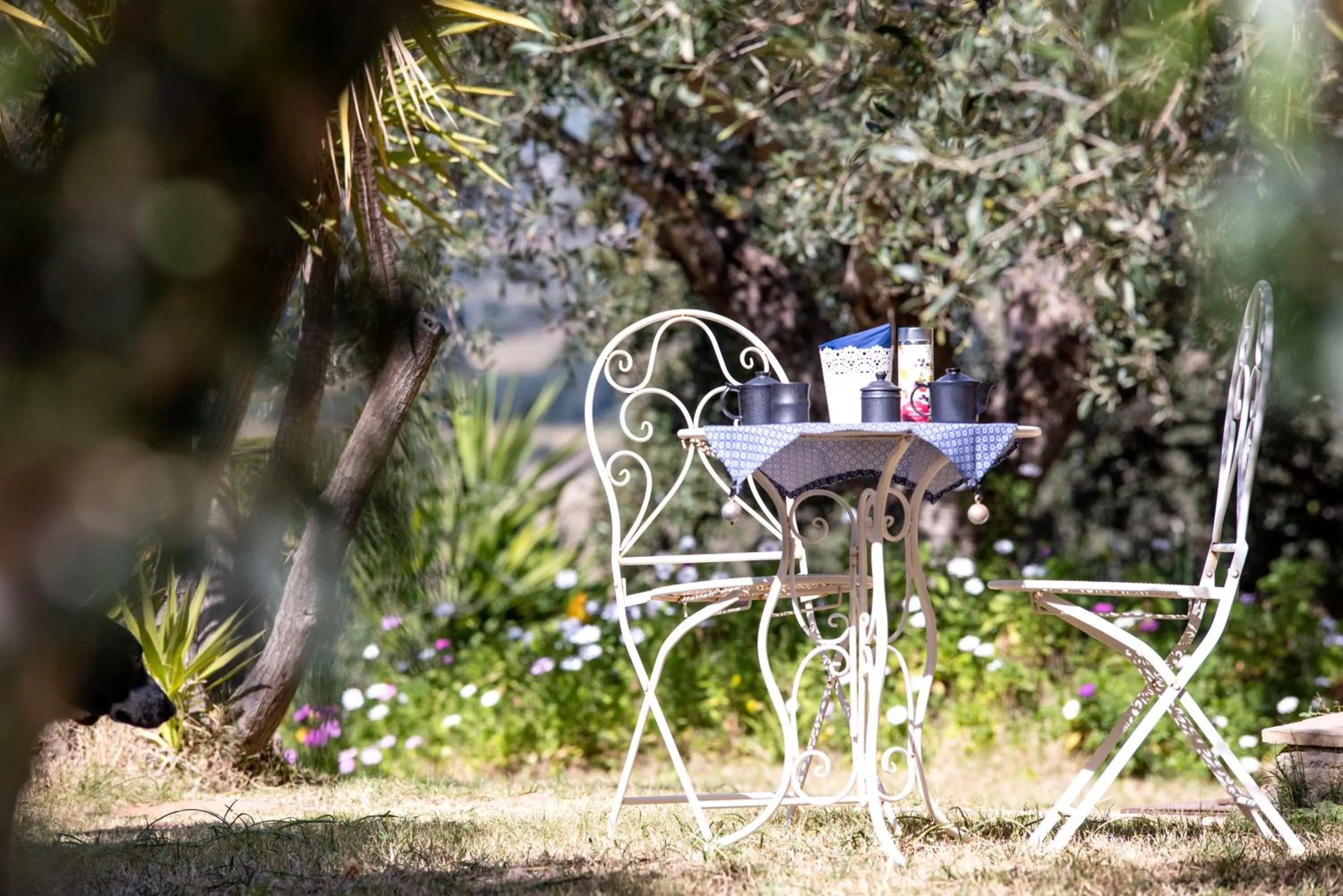 Patio in Suite cucinino, bagno, ingresso indipendente in" Villa VìVì"