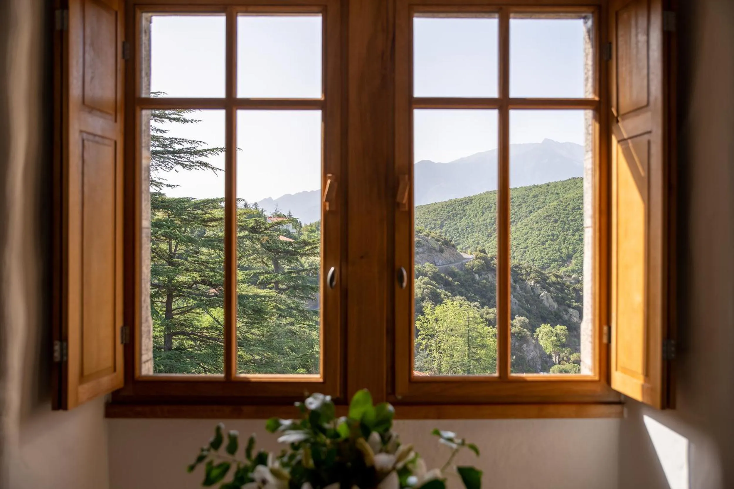 Mountain view in Les Pyrénées - le Grand Hôtel & le Château