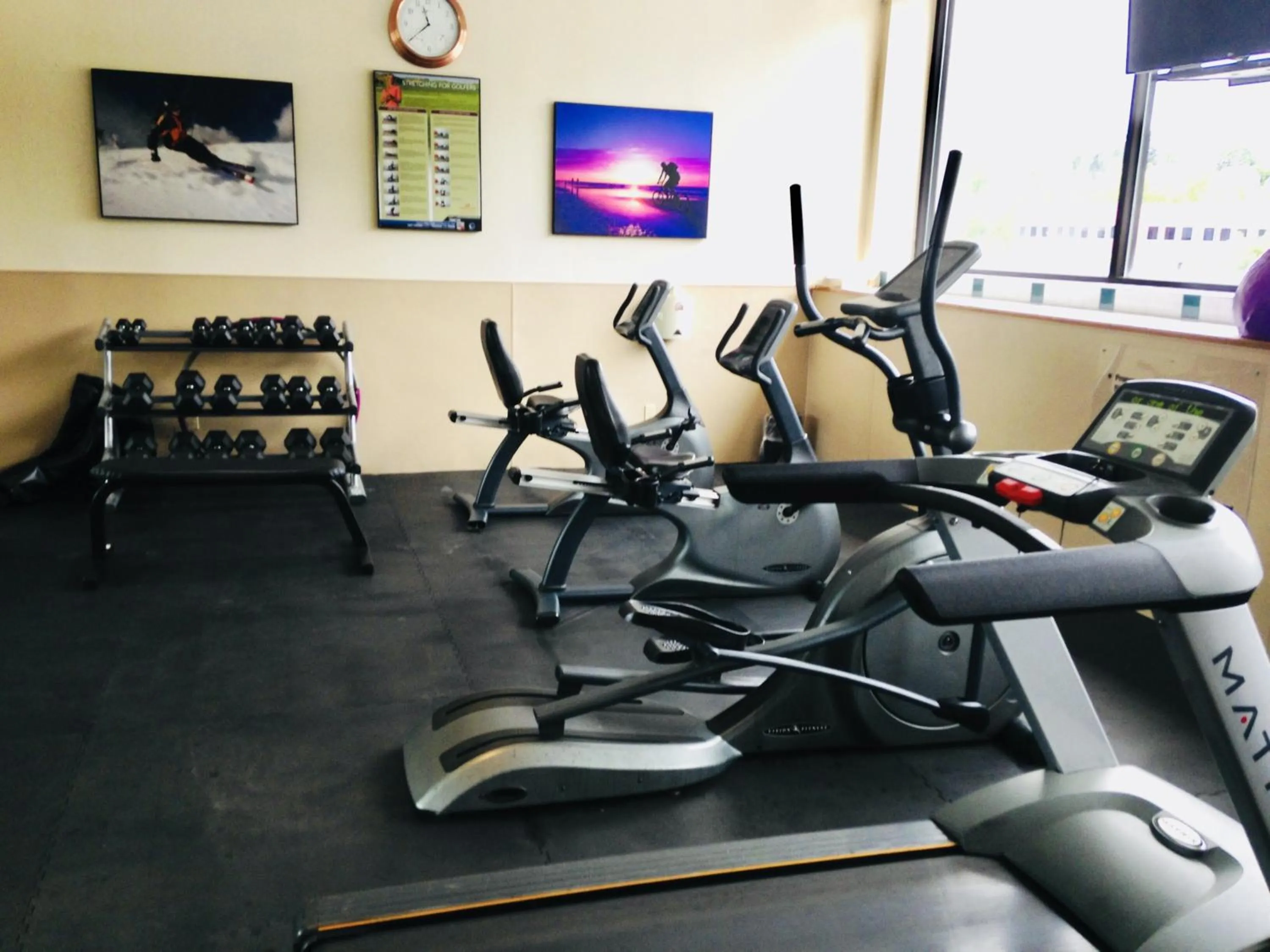 Fitness centre/facilities in Holiday Inn & Suites Pittsfield-Berkshires by IHG