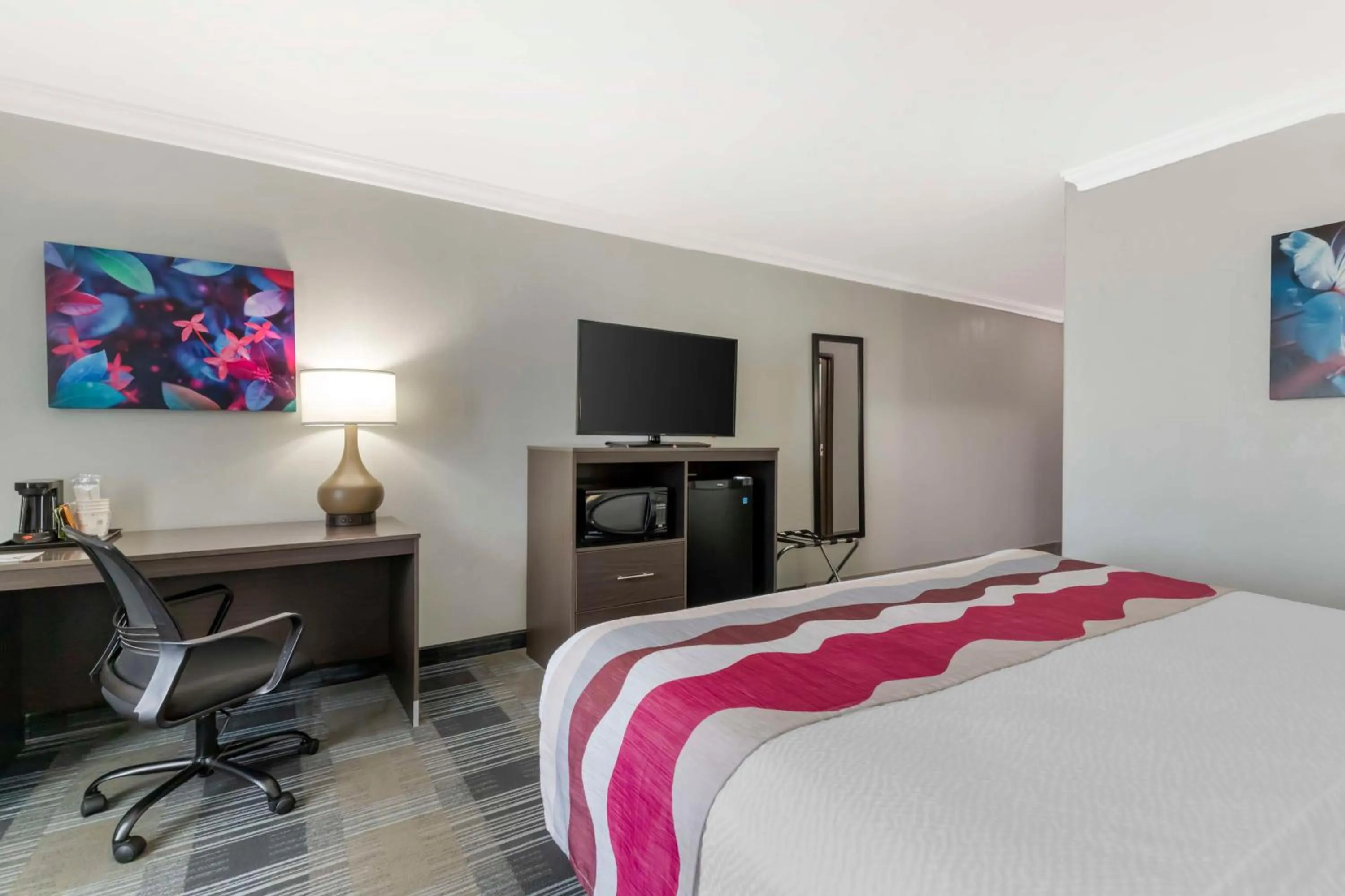 Bedroom, Bed in Best Western Medical Center North Inn & Suites Near Six Flags