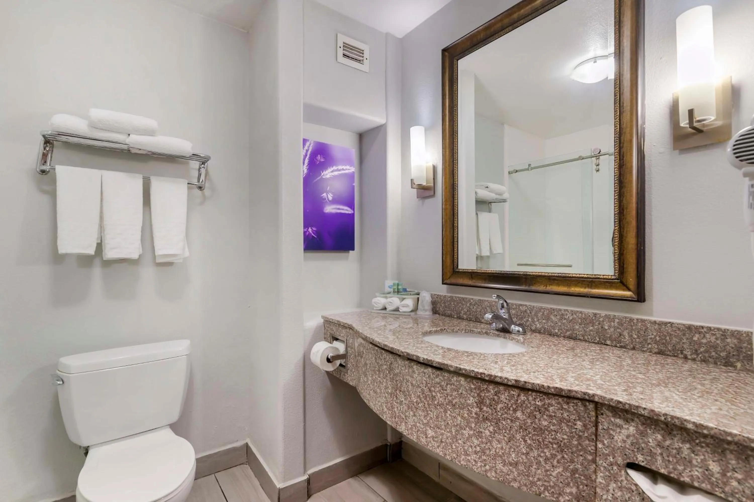 Bathroom in Best Western Medical Center North Inn & Suites Near Six Flags