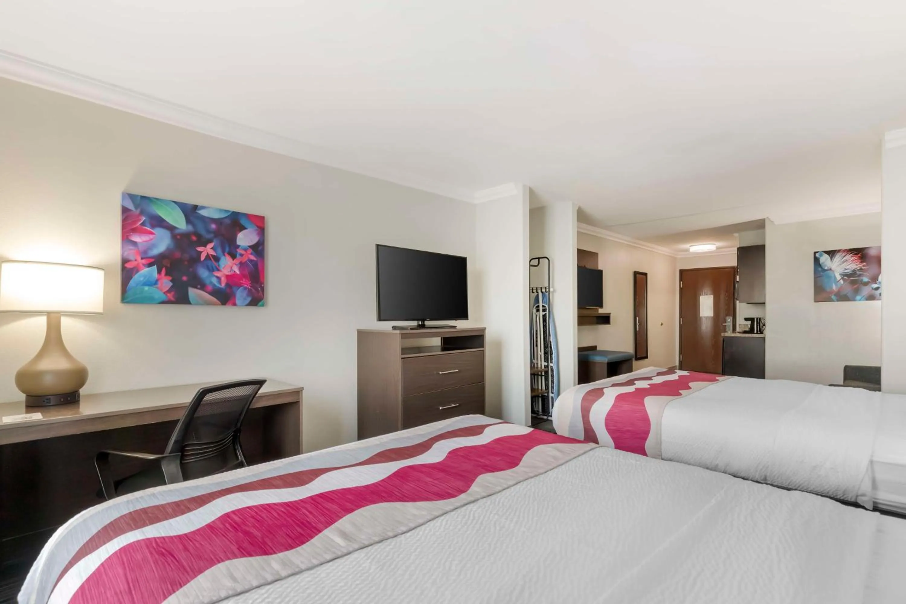 Photo of the whole room, Bed in Best Western Medical Center North Inn & Suites Near Six Flags