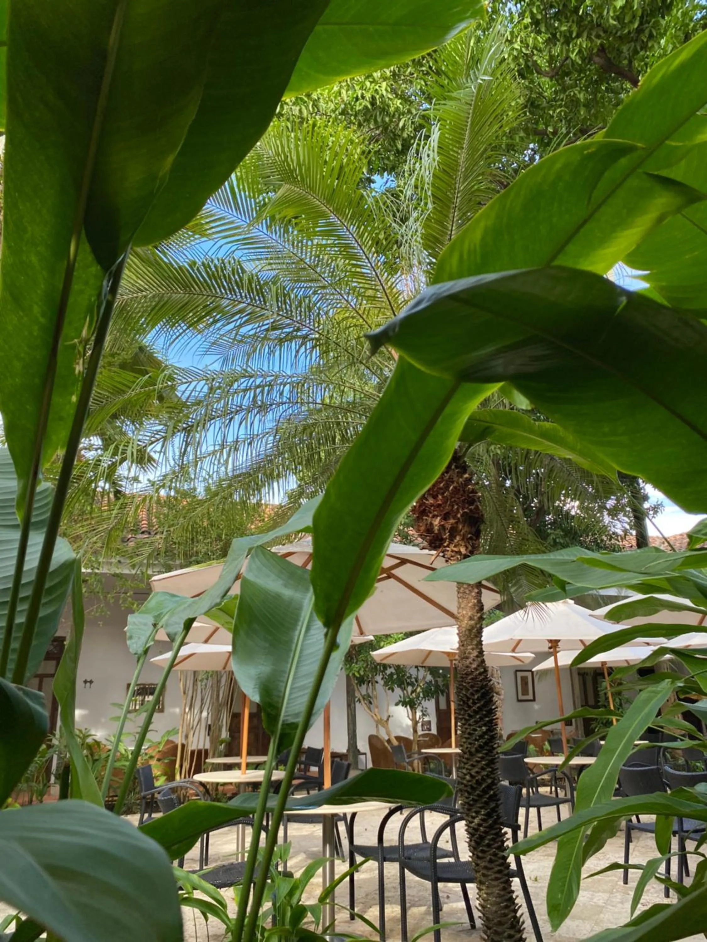 View (from property/room) in Hotel San German