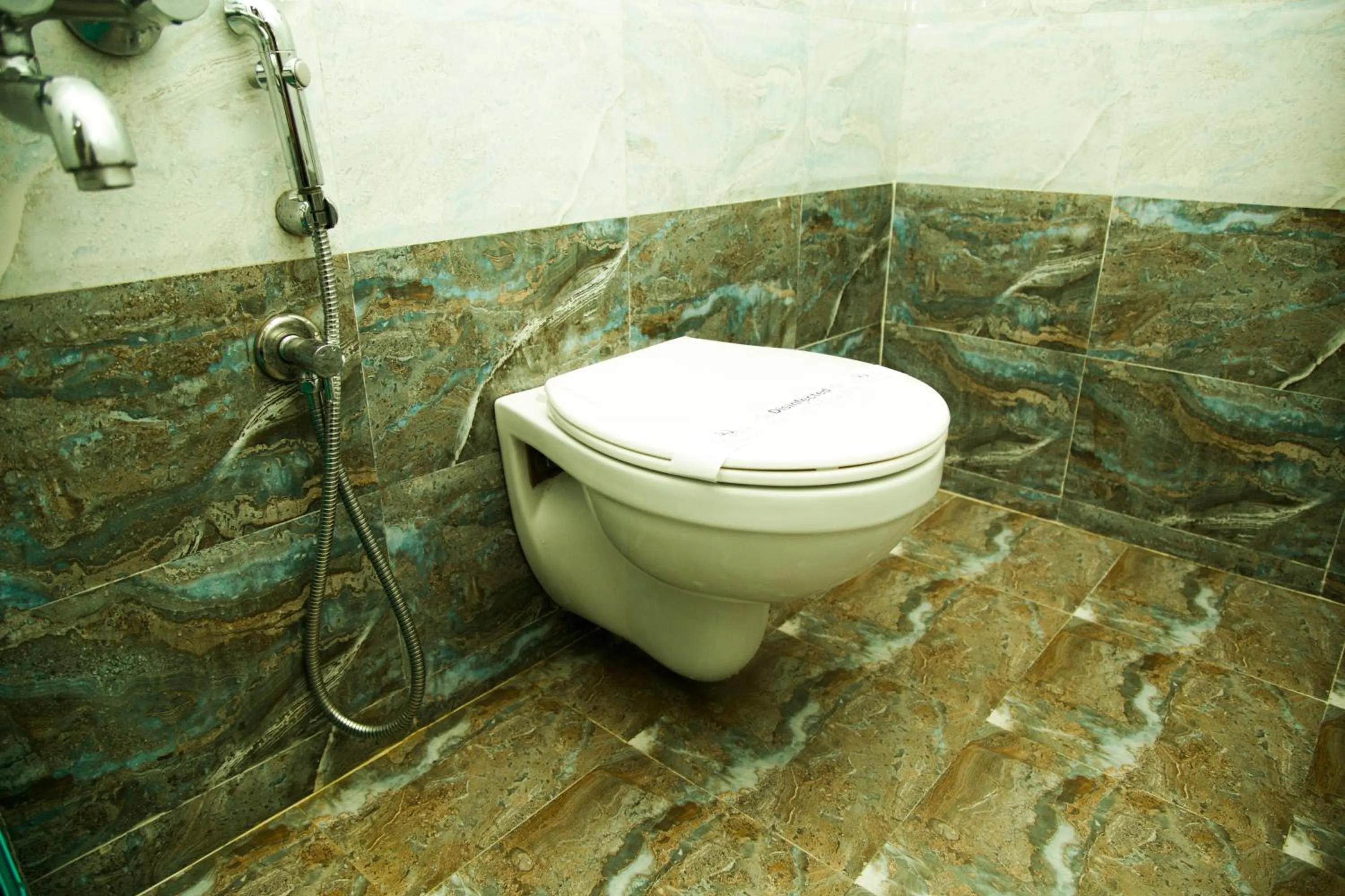 Toilet in Dream Land Residency