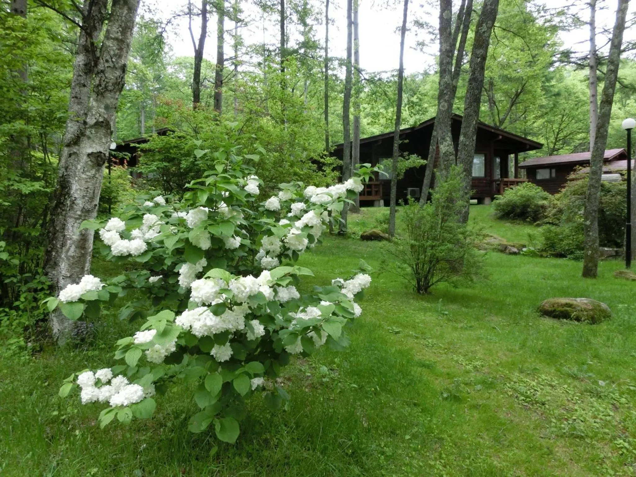 Summer in Tateshina Tokyu Hotel