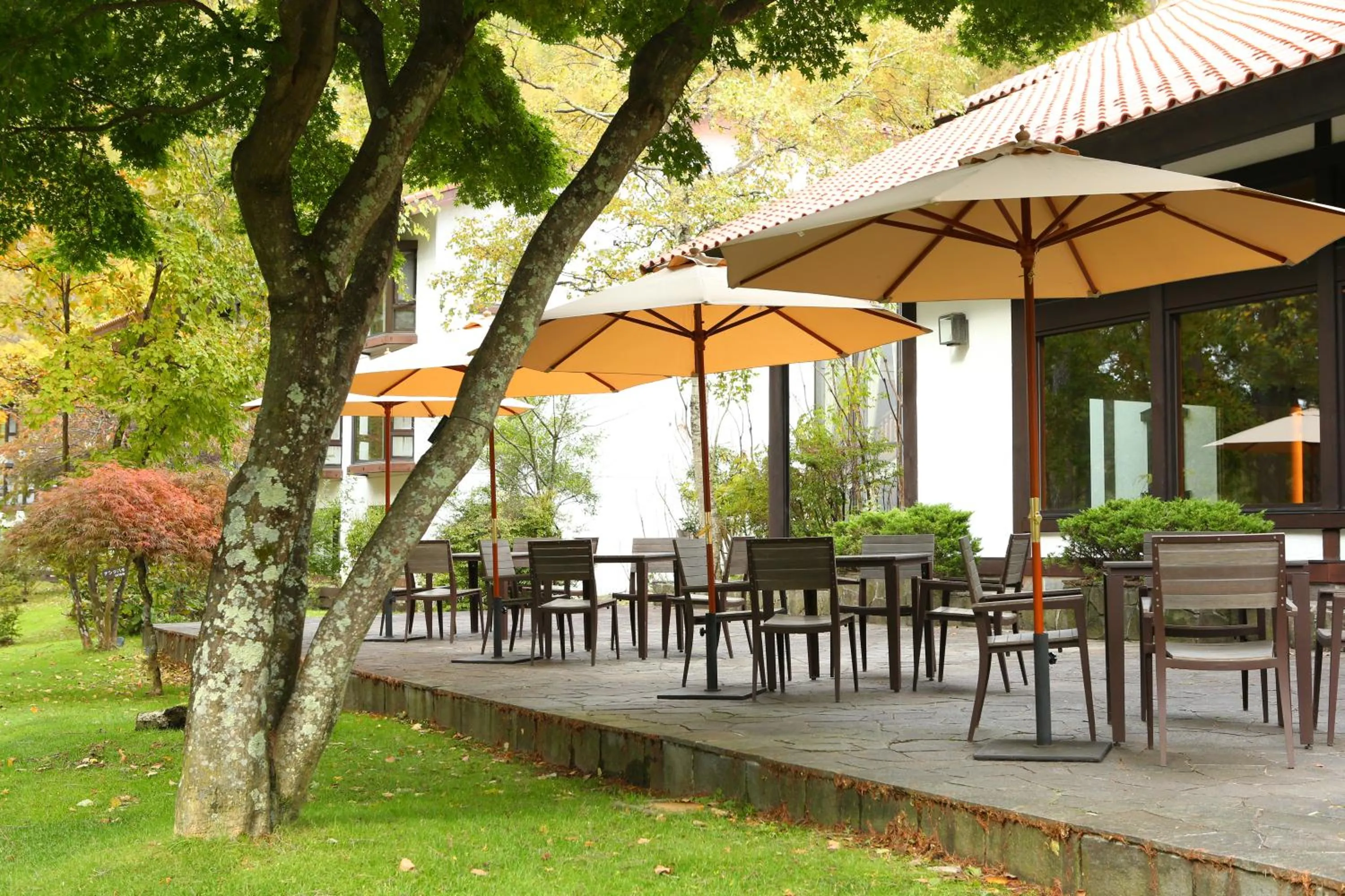 Balcony/Terrace in Tateshina Tokyu Hotel