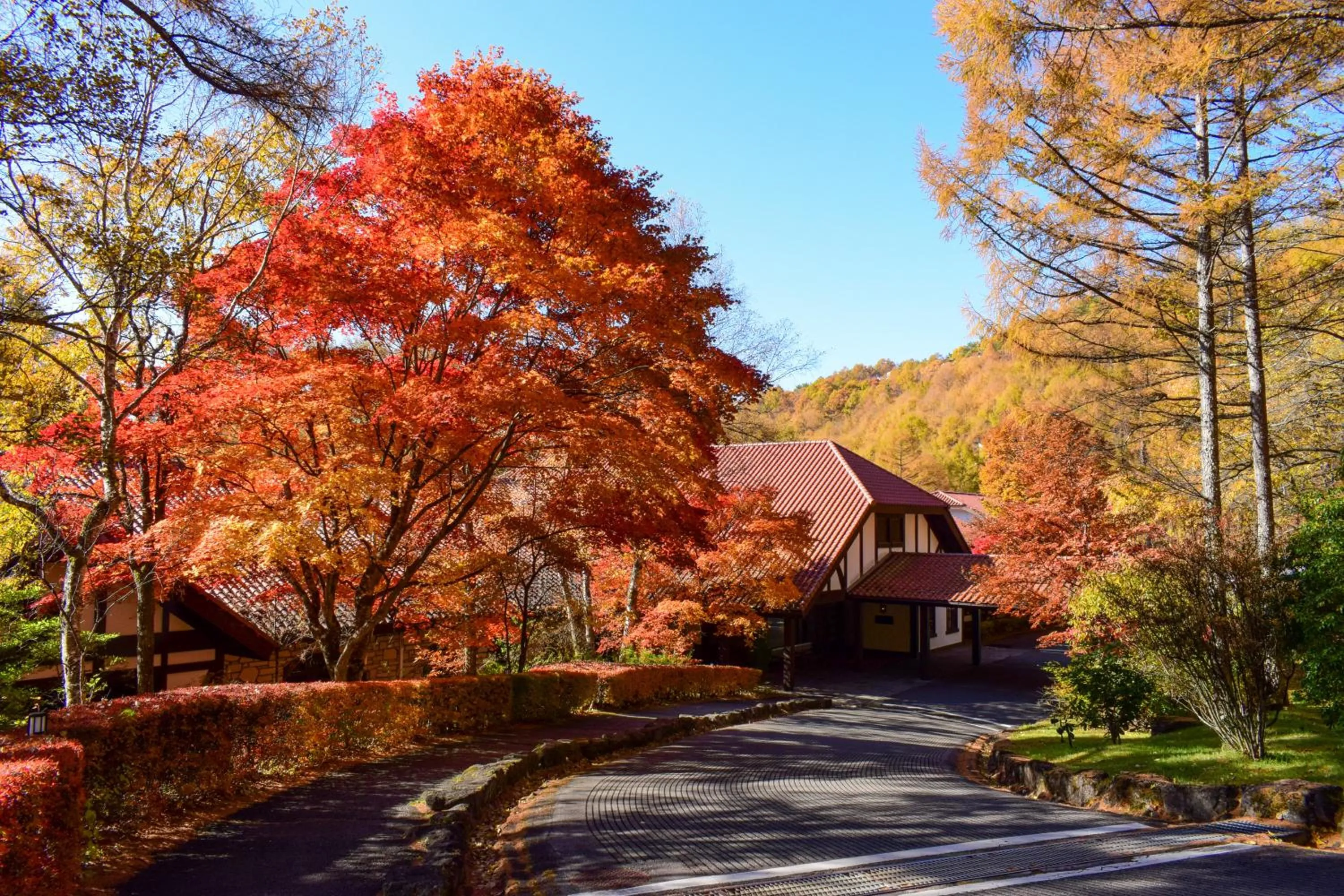 Facade/entrance in Tateshina Tokyu Hotel