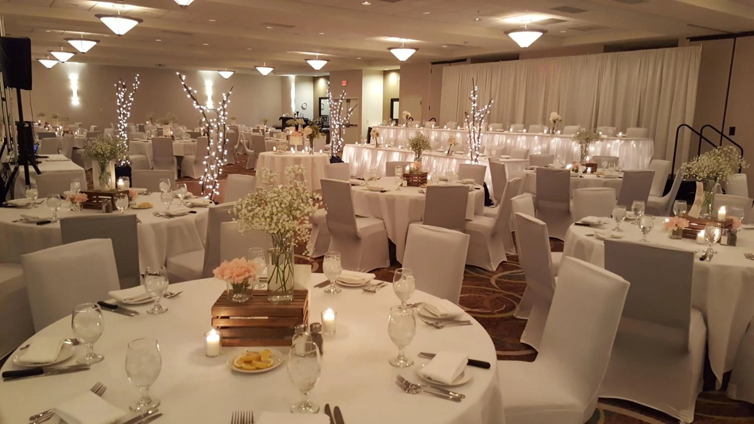 Banquet/Function facilities in Holiday Inn Hotel & Suites Bloomington Airport by IHG