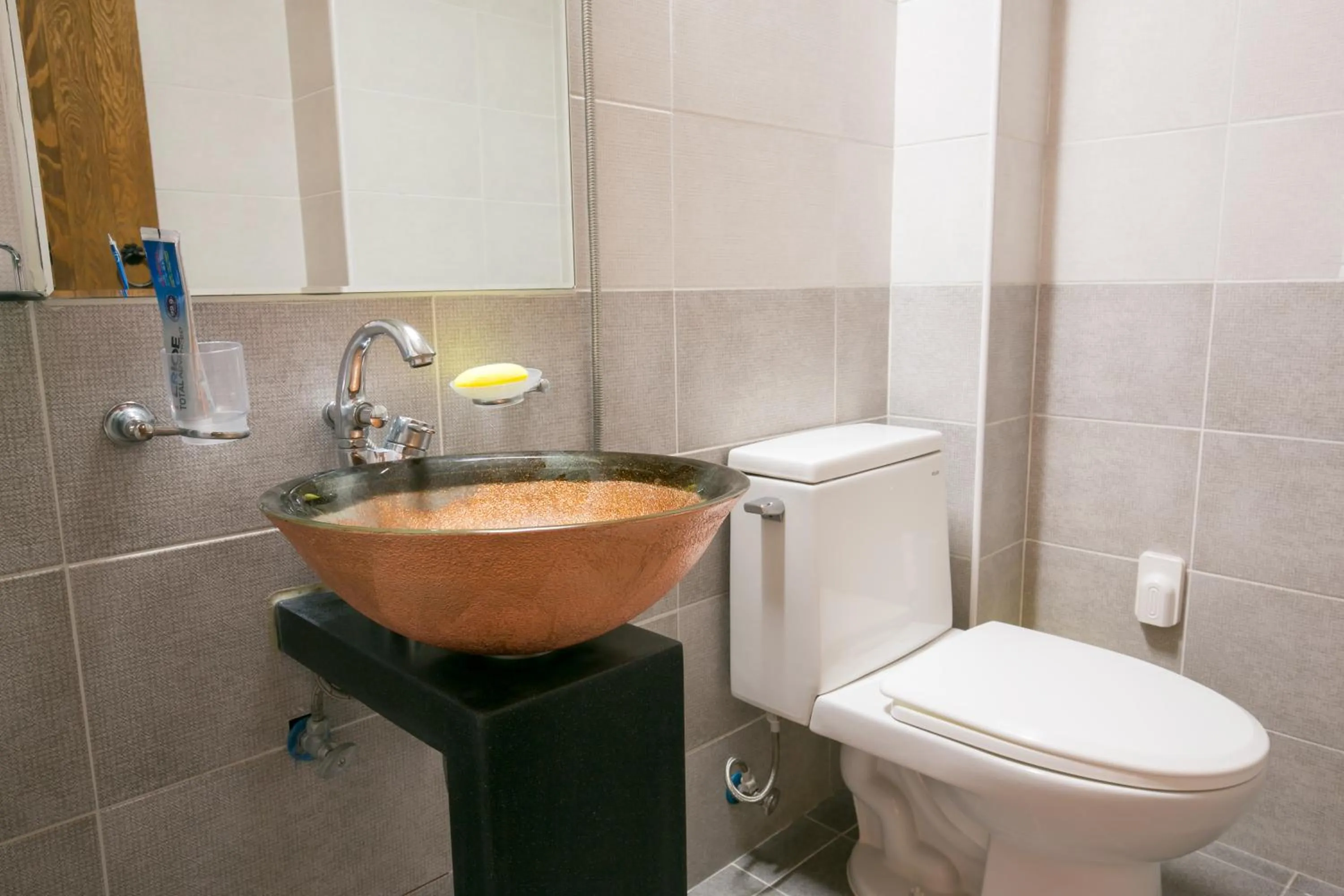 Toilet, Bathroom in Ddlanche Guesthouse New Building