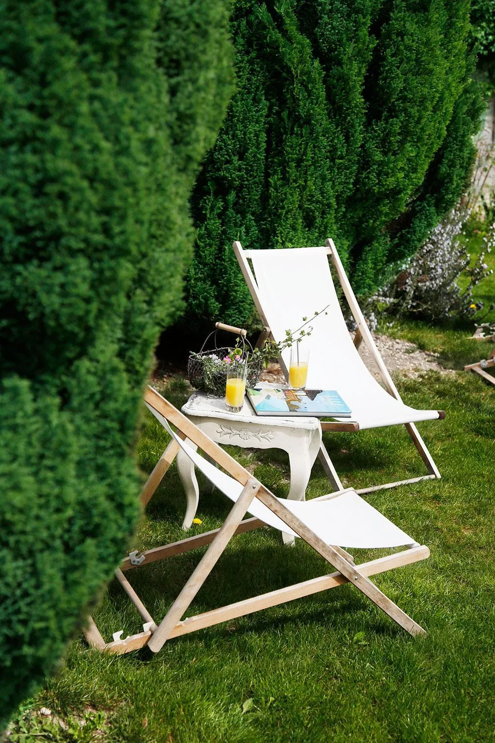 Garden in Maison d'hôtes Stella Cadente