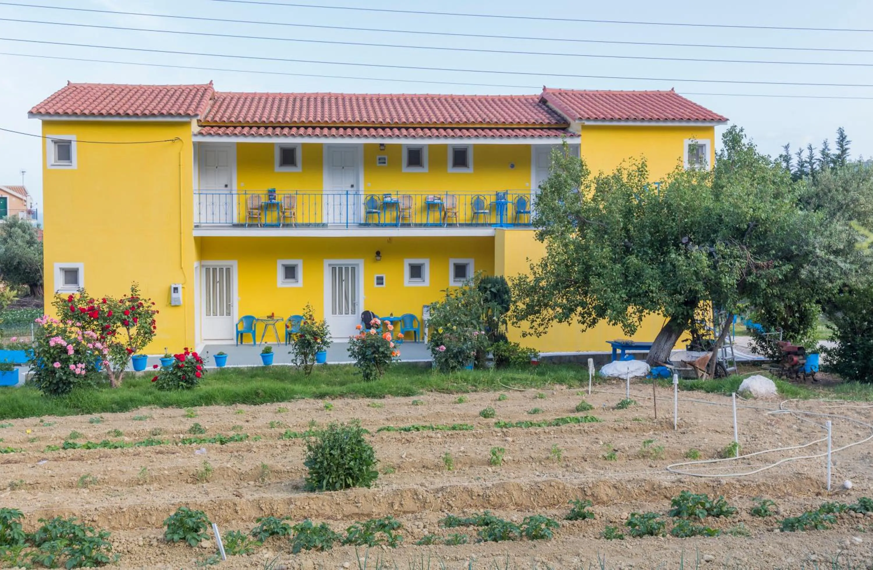 Garden in Anastasia Studios Katelios