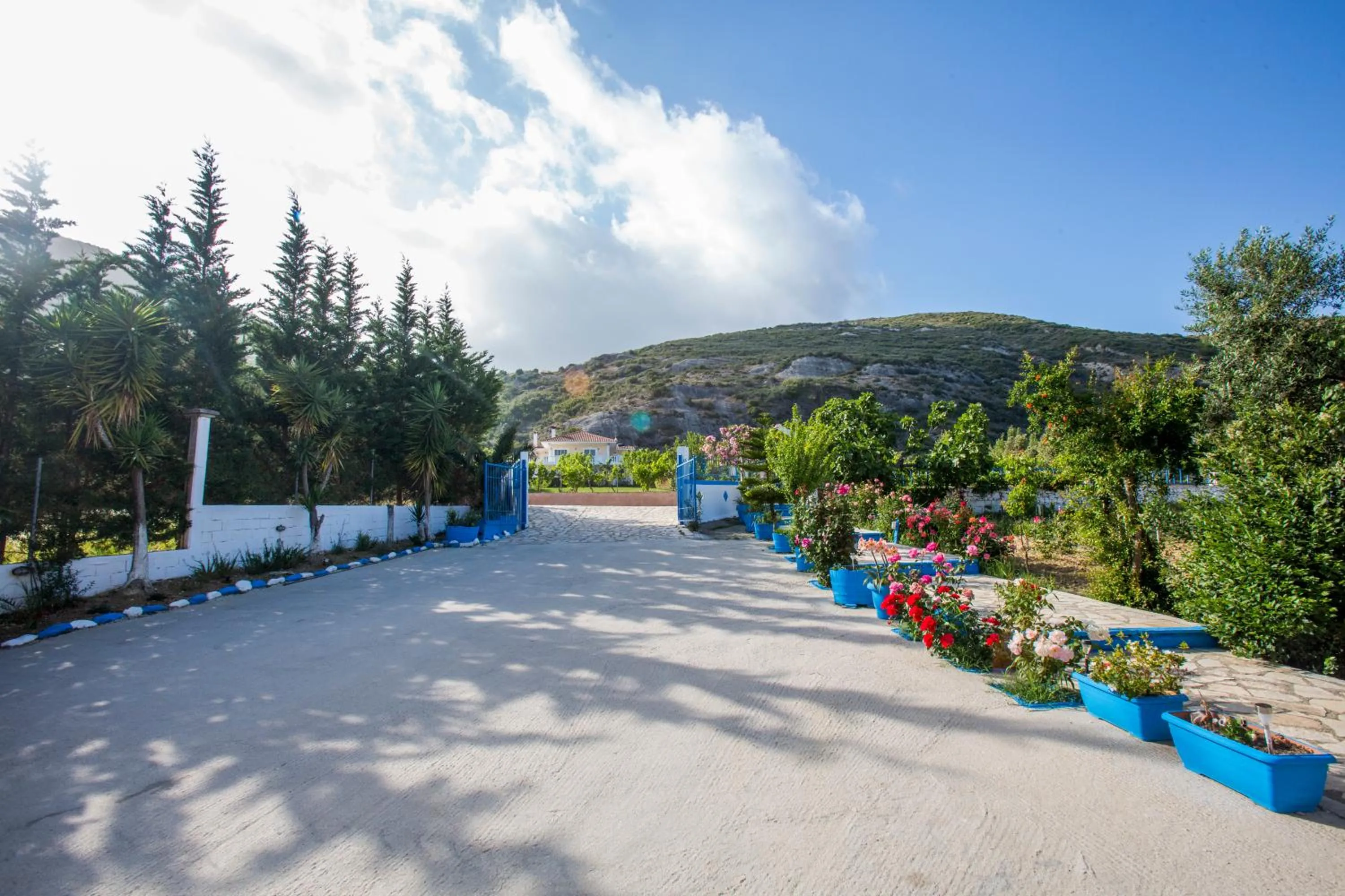 On site in Anastasia Studios Katelios