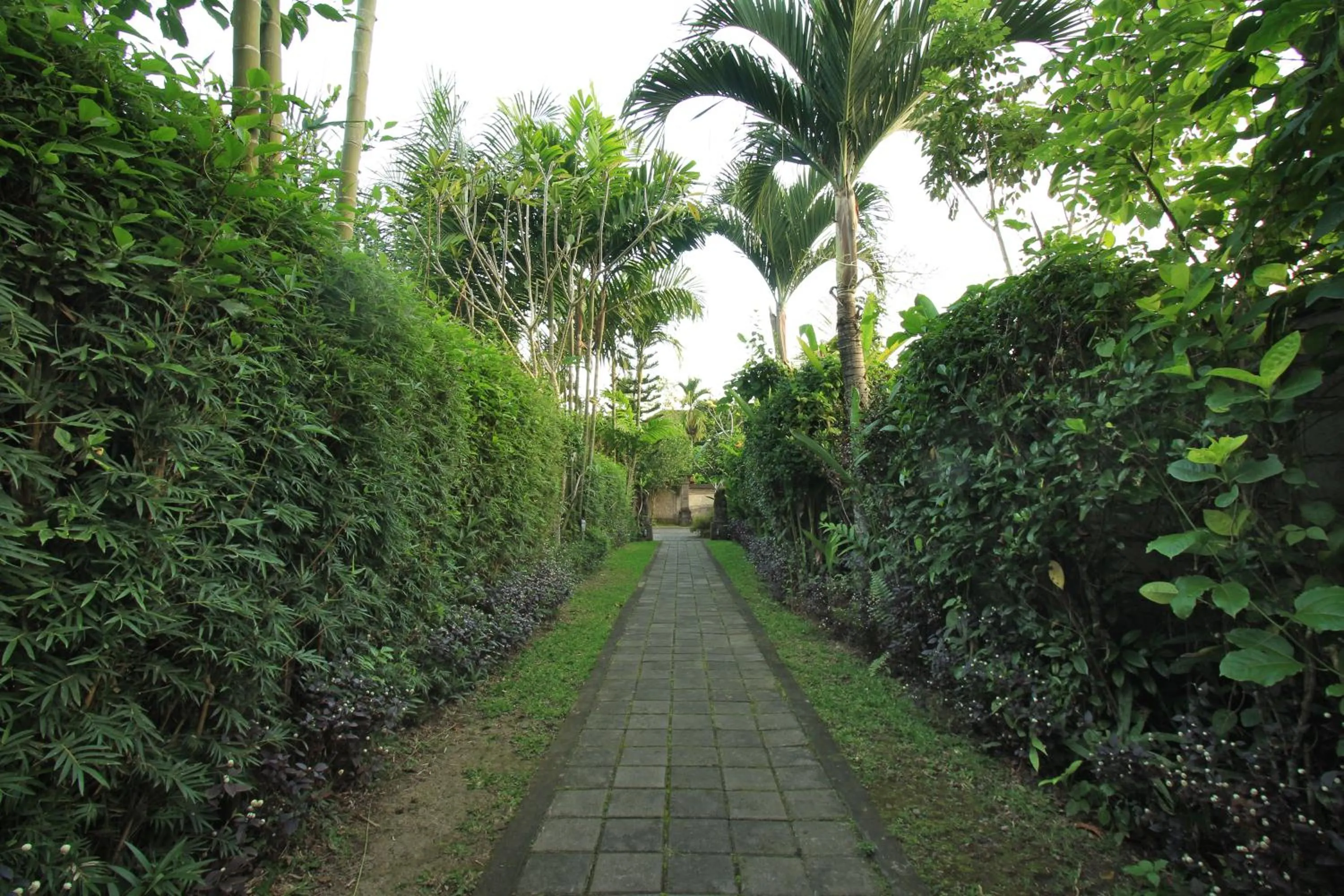 Natural landscape in Nara Ubud Cottage by Mahaputra