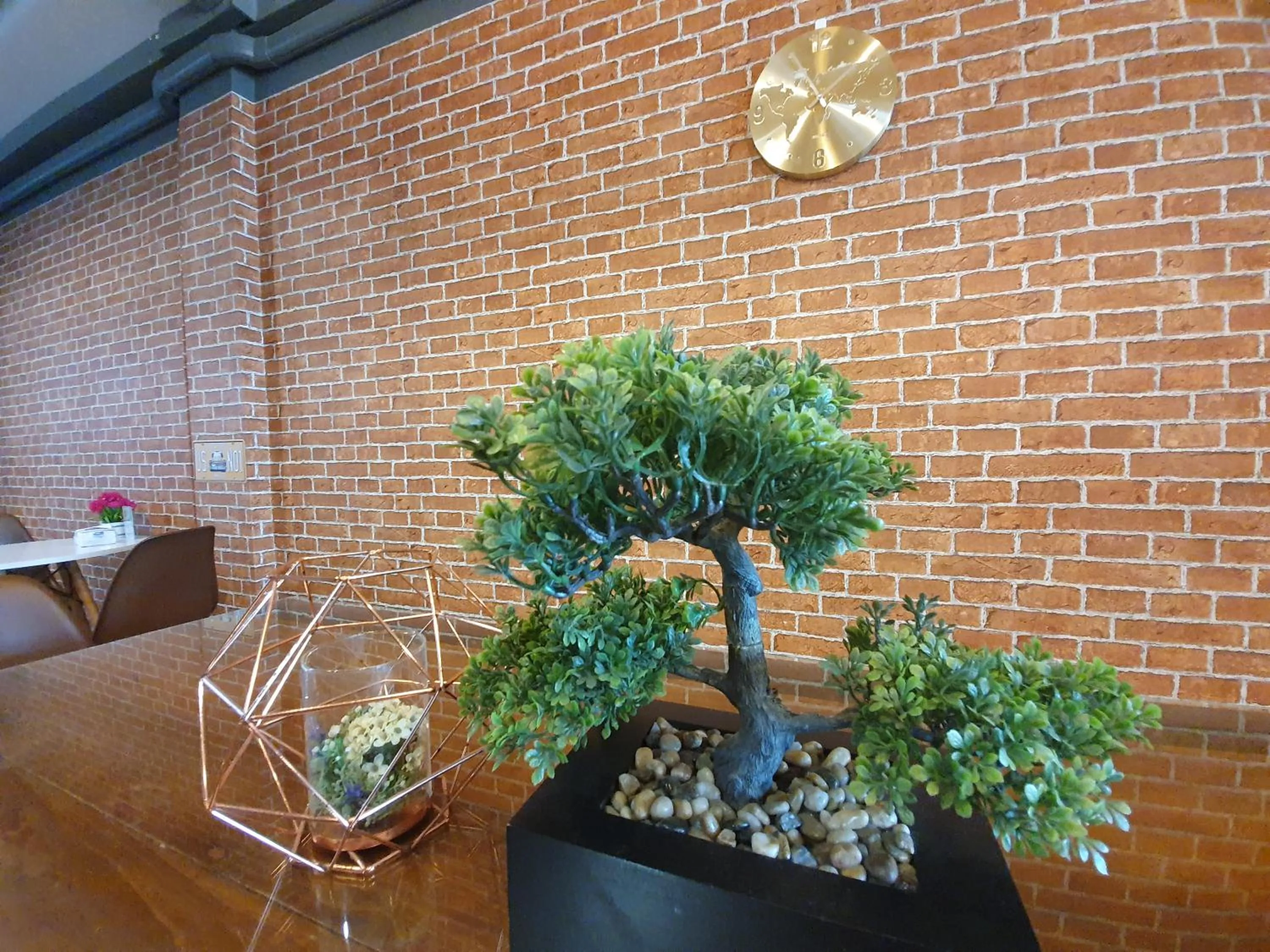 Patio in Sleep Airport Chiang Mai