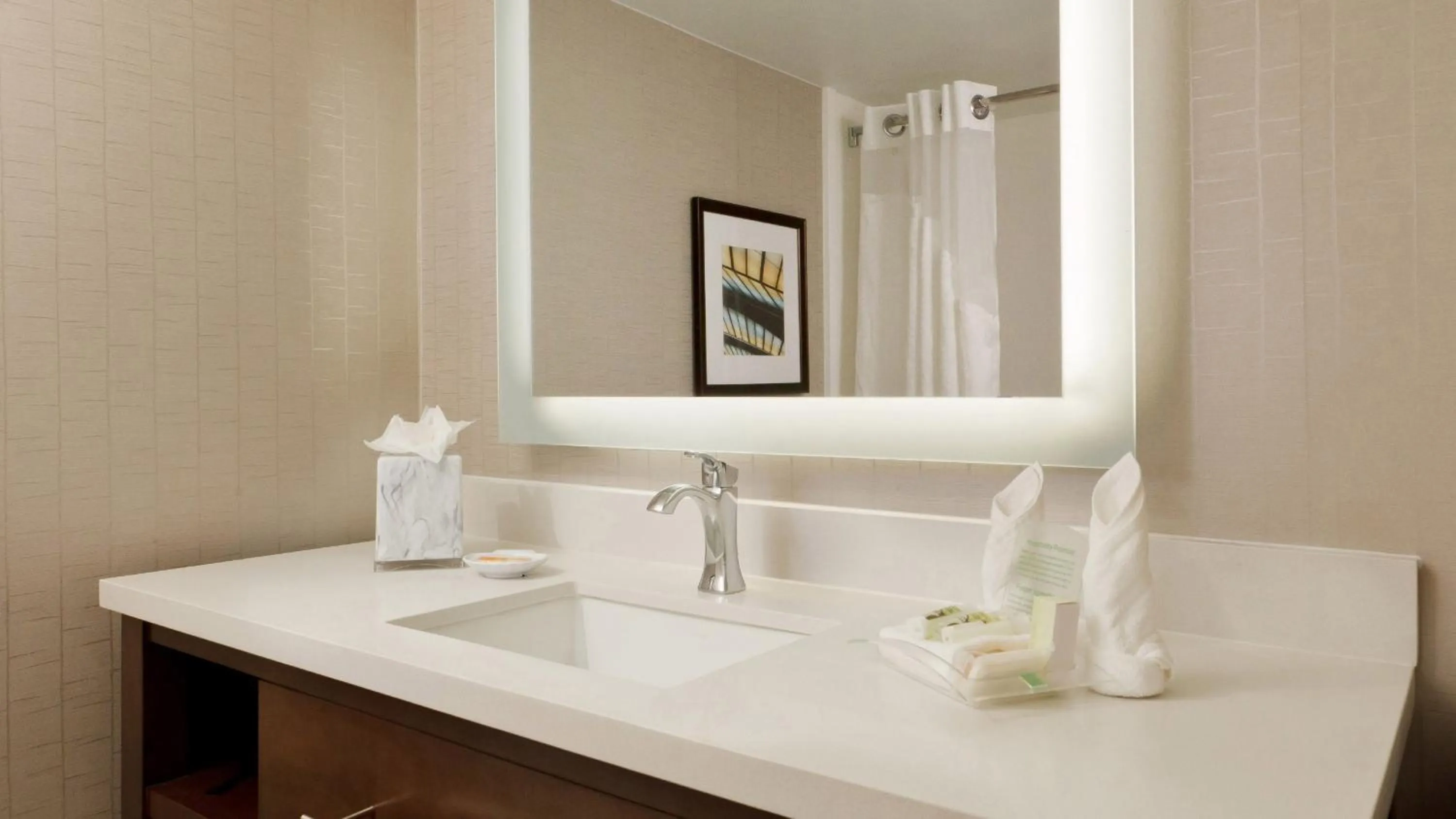 Bathroom in Holiday Inn San Antonio-Riverwalk by IHG