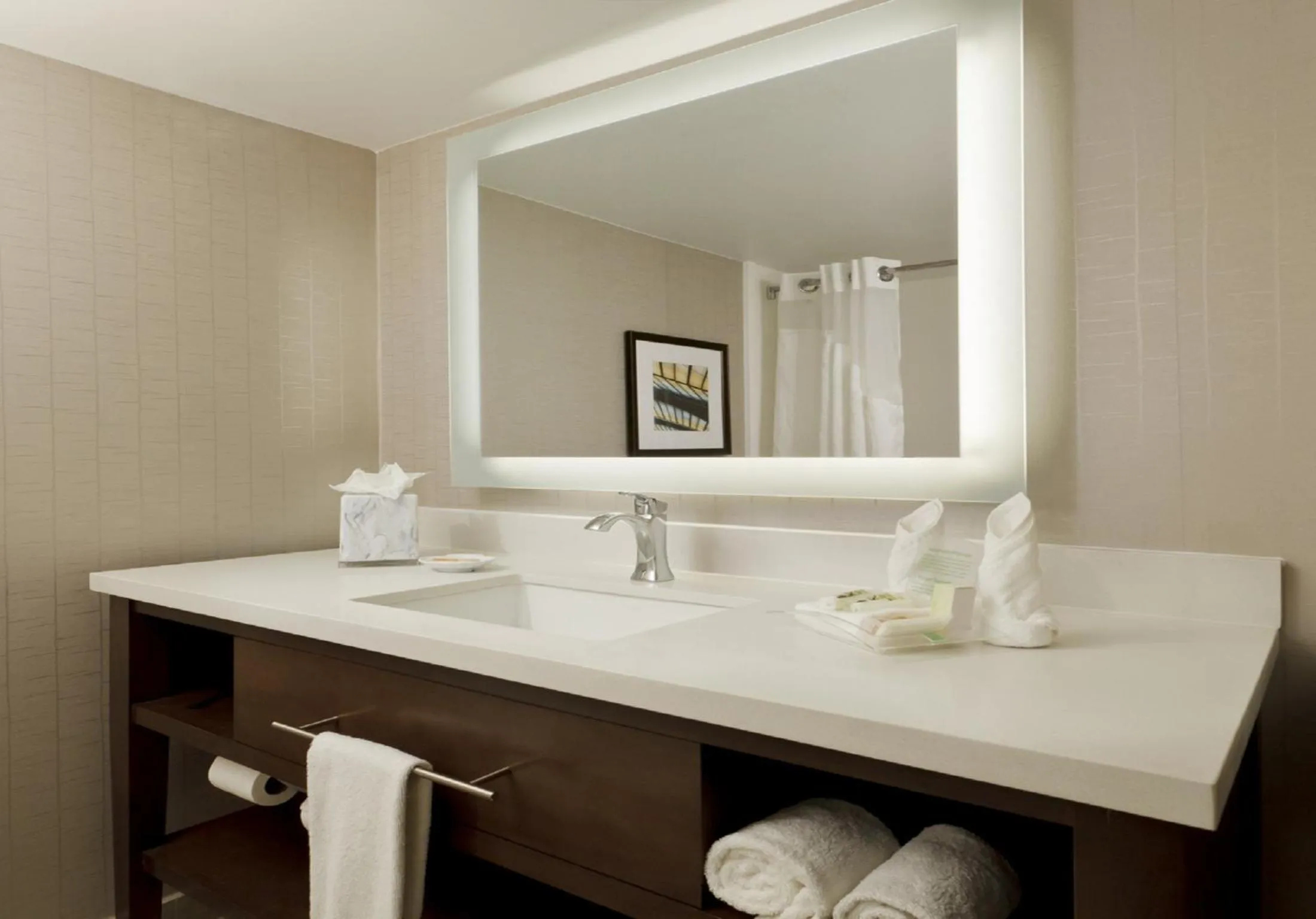 Bathroom in Holiday Inn San Antonio-Riverwalk by IHG