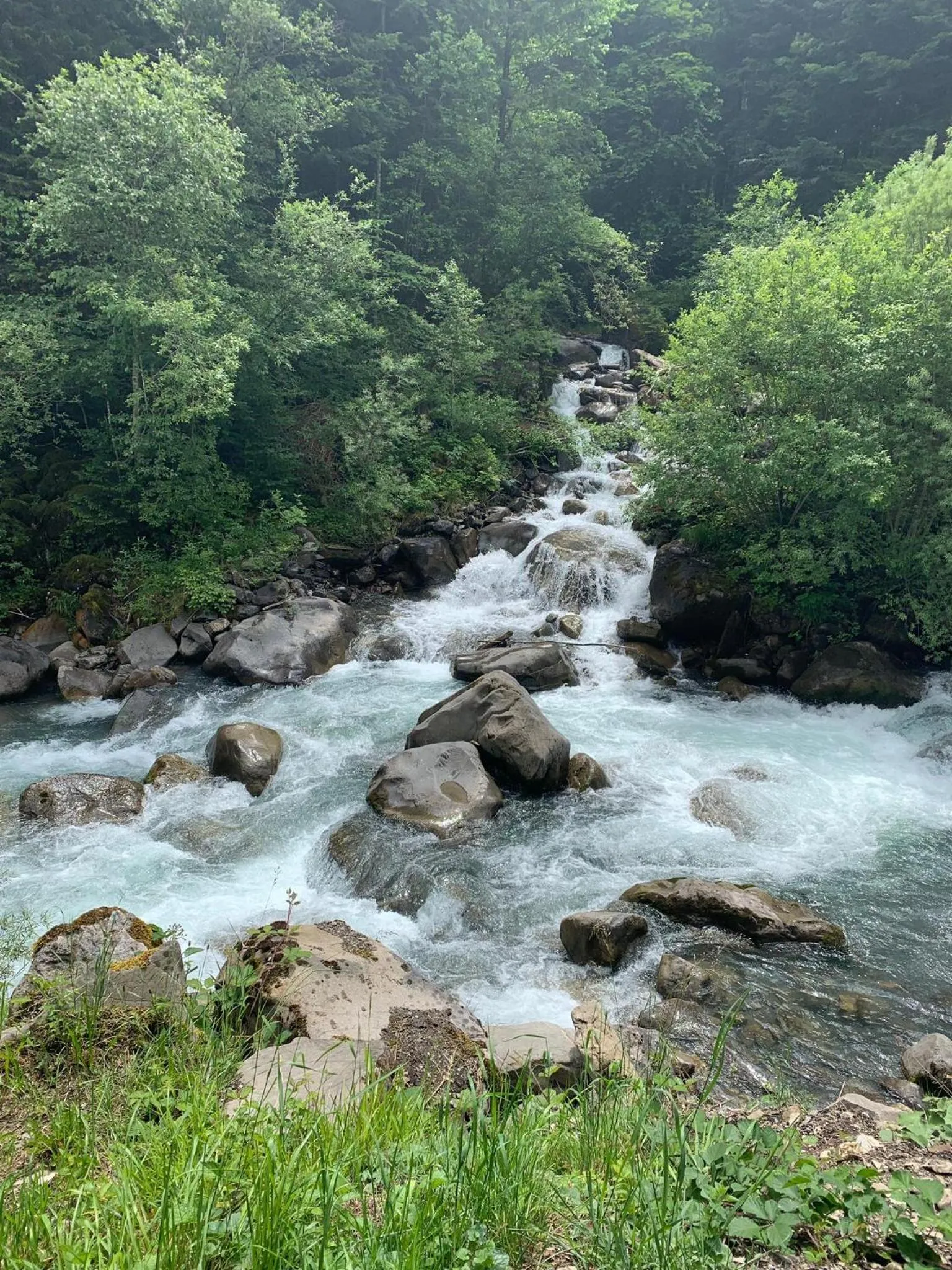 Natural landscape in The River Pearl