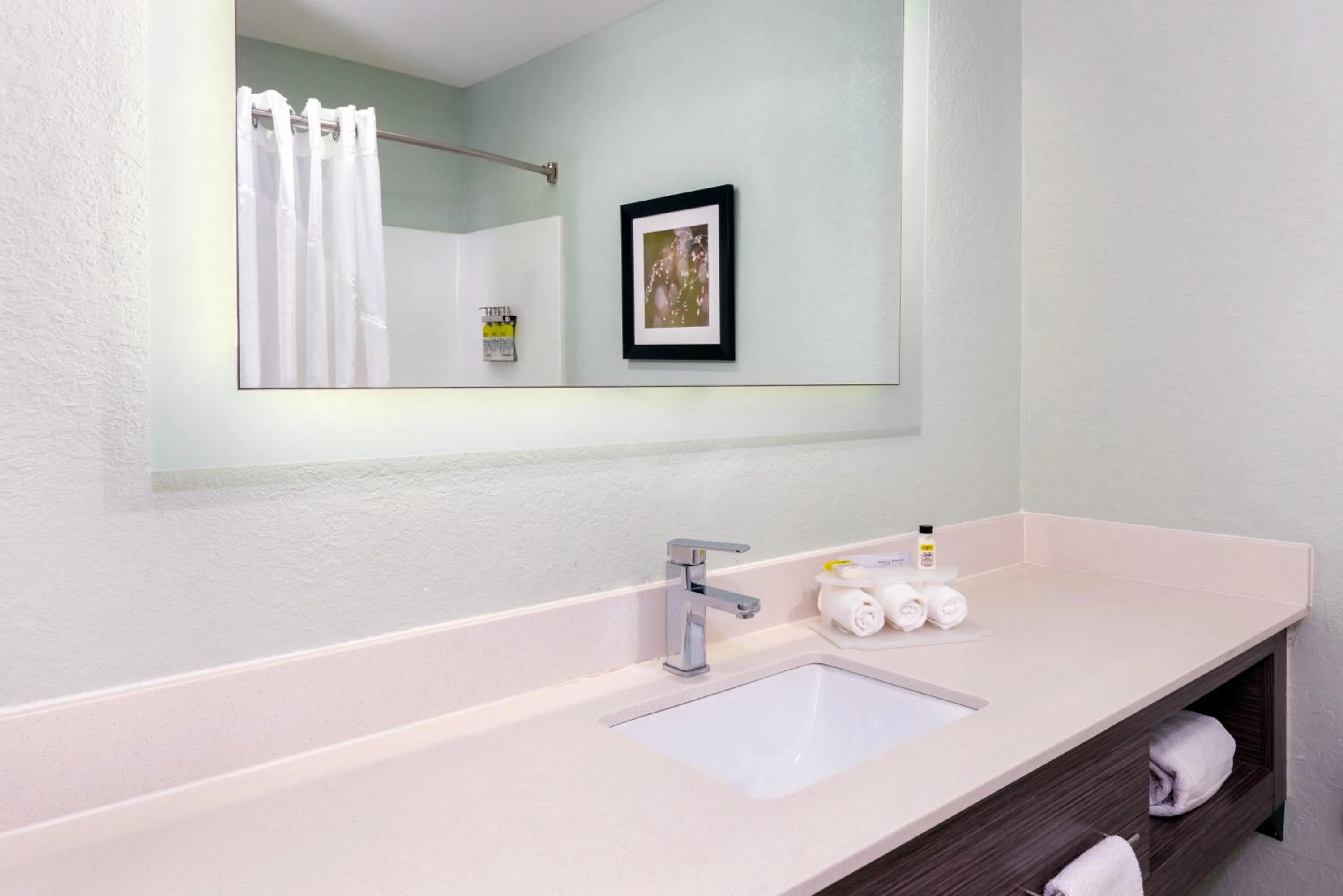 Bathroom in Holiday Inn Express Hotel & Suites Bonita Springs/Naples by IHG