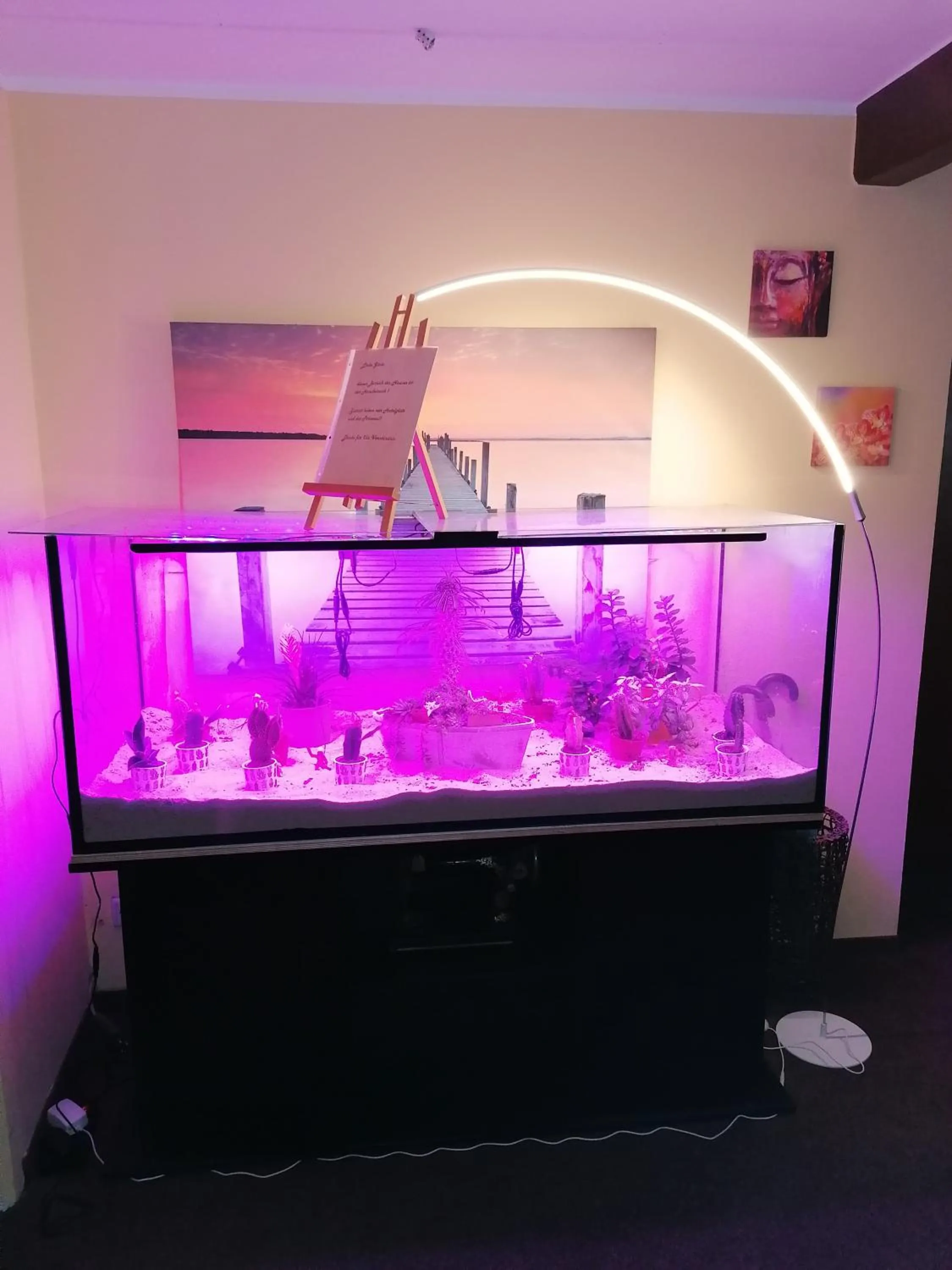 Lobby or reception in Pension Riverside in Leverkusen Hitdorf am Rhein - Zentral an der A1 und 59