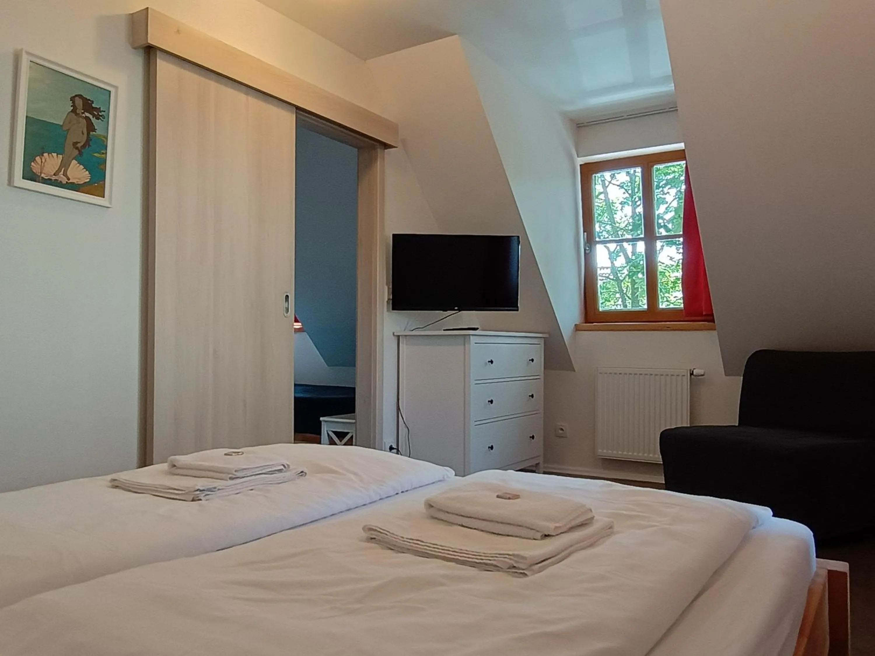 TV and multimedia in Apartmány Malý mnich