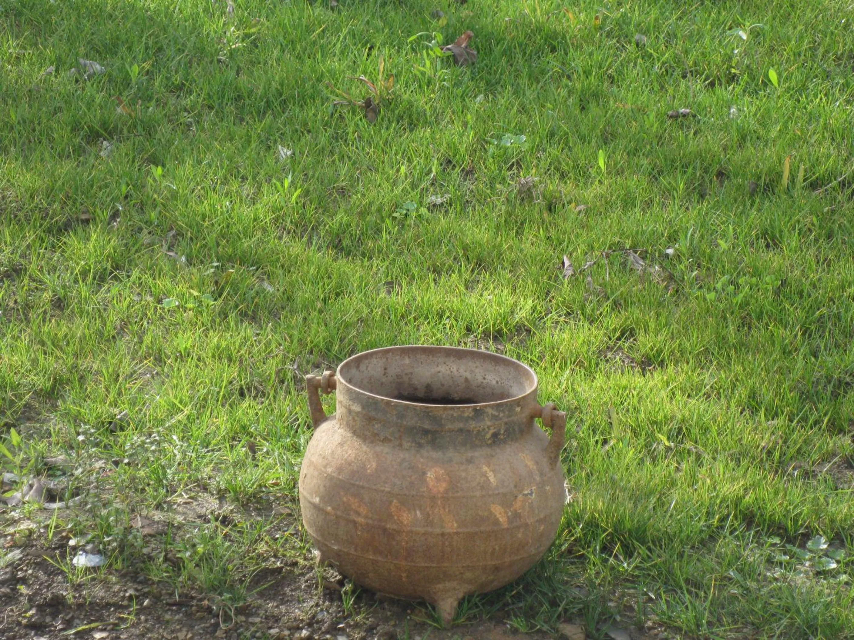Garden view in Candeias do Souto
