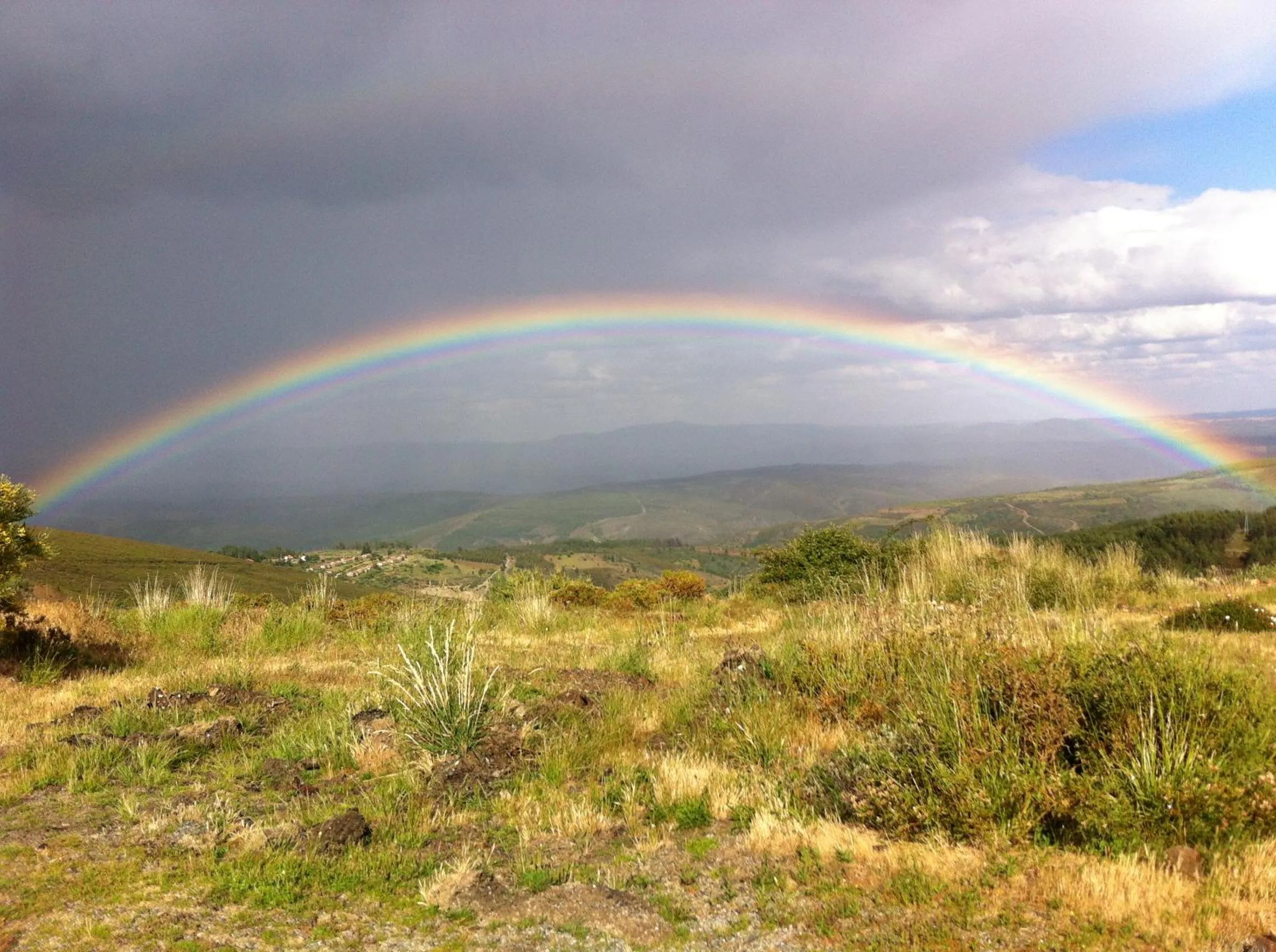 Natural landscape in Candeias do Souto