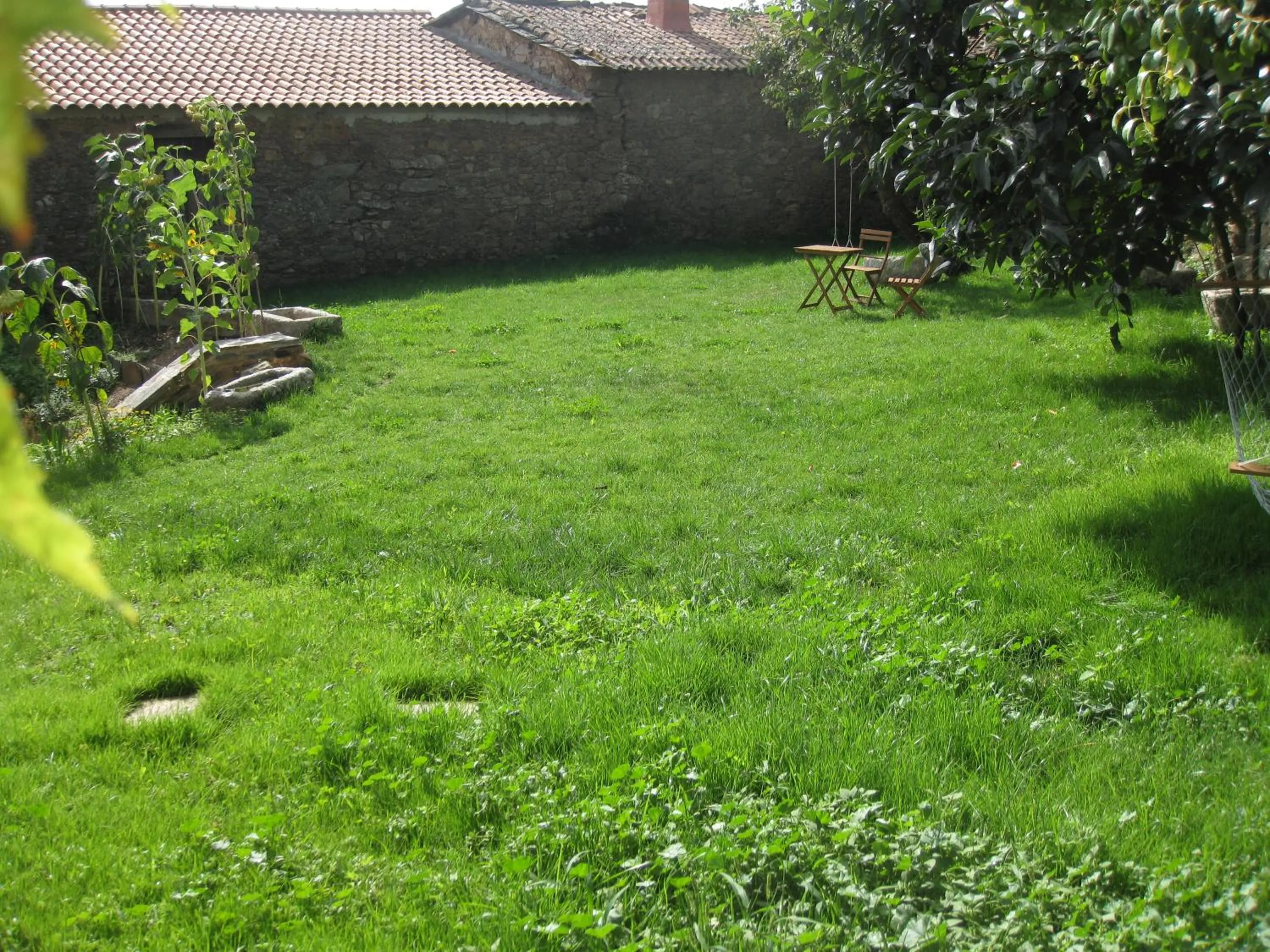 Garden view in Candeias do Souto