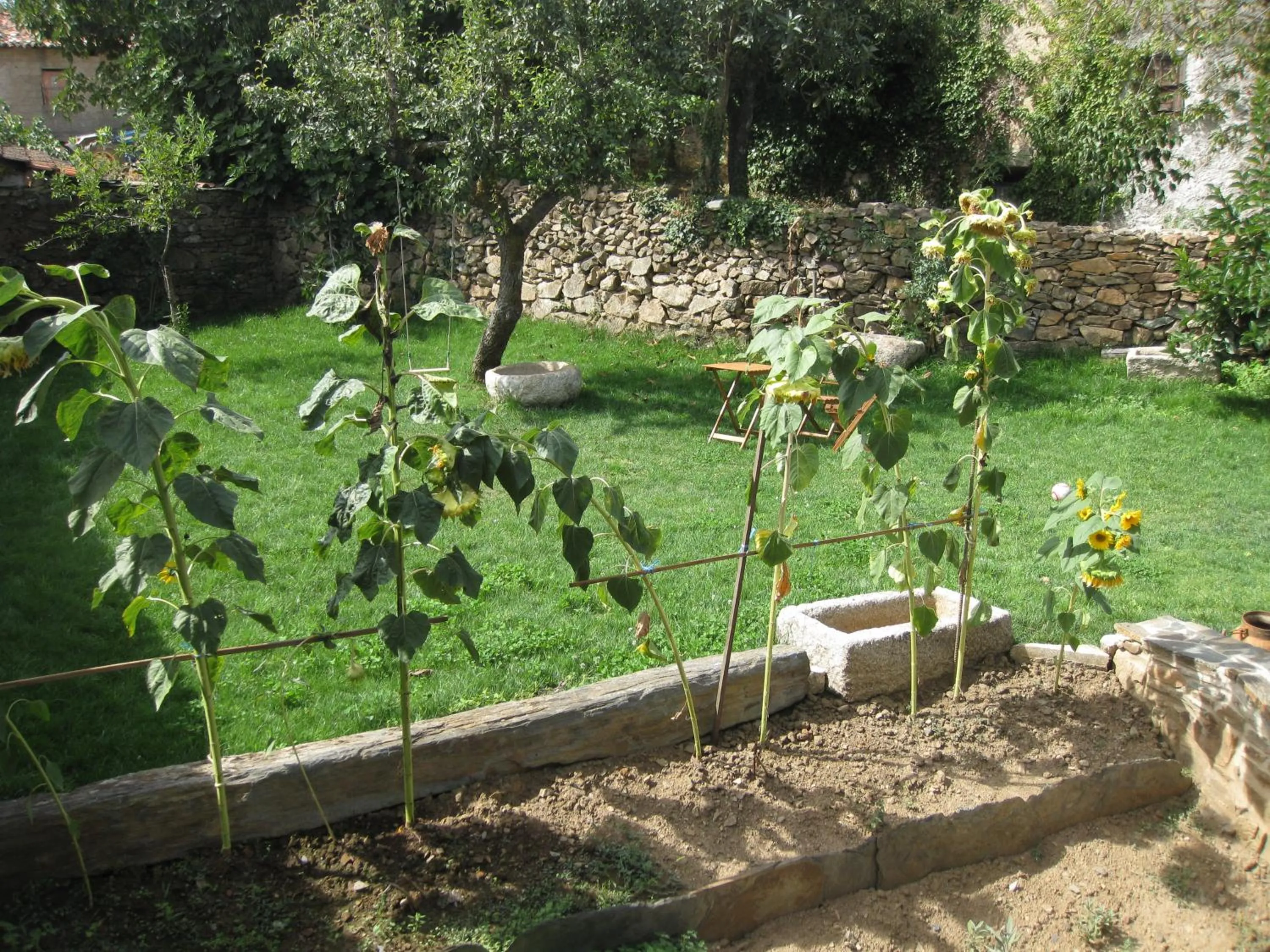 Garden view in Candeias do Souto
