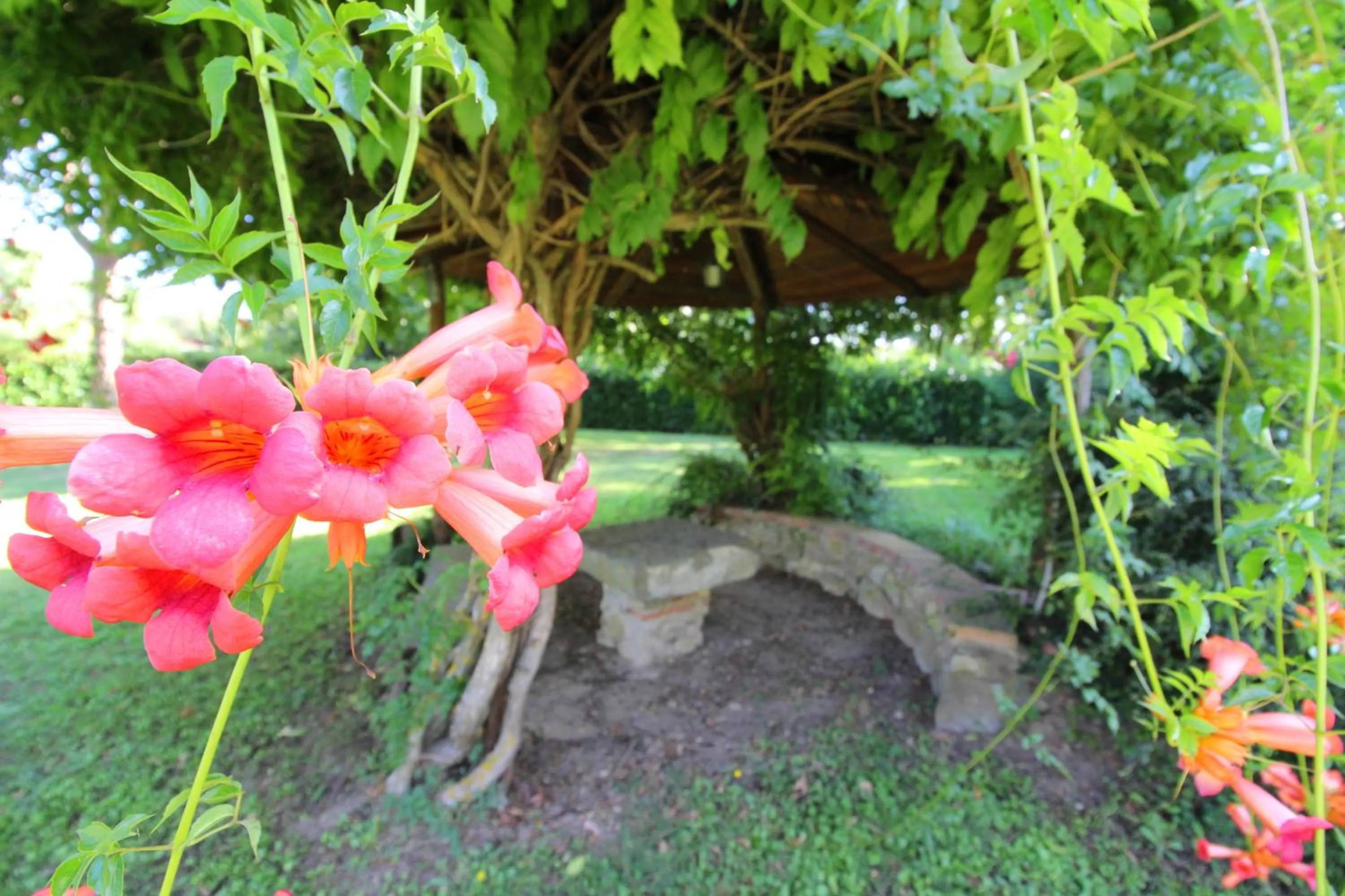 Garden in Pagliazzone