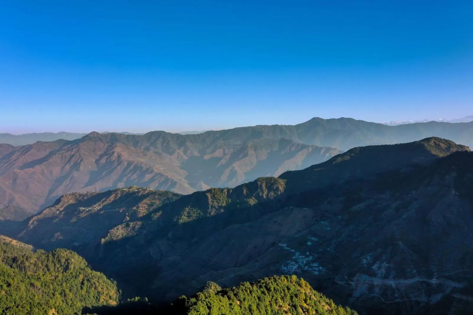 Natural landscape in Rokeby Manor