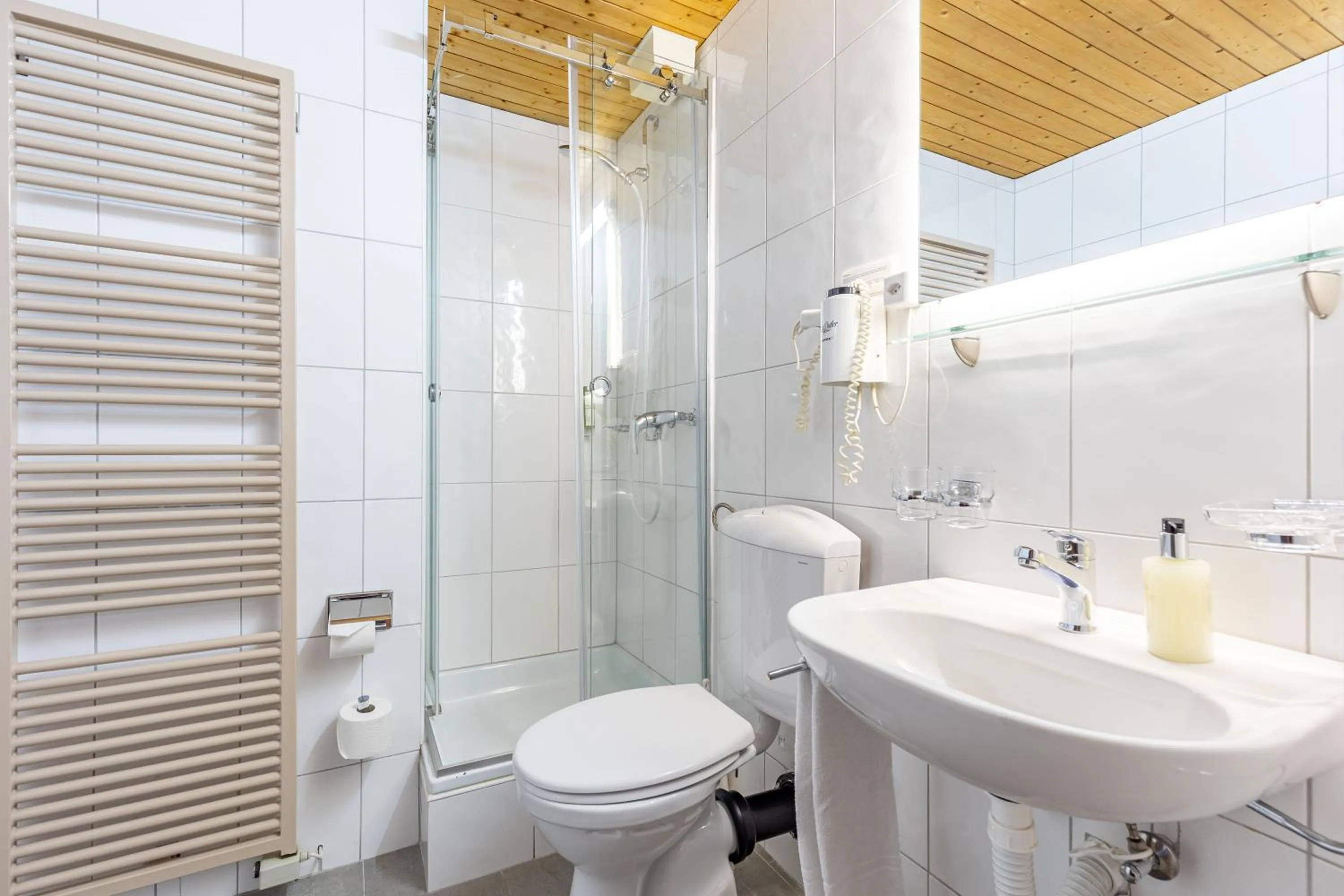 Bathroom in Hotel Dischma