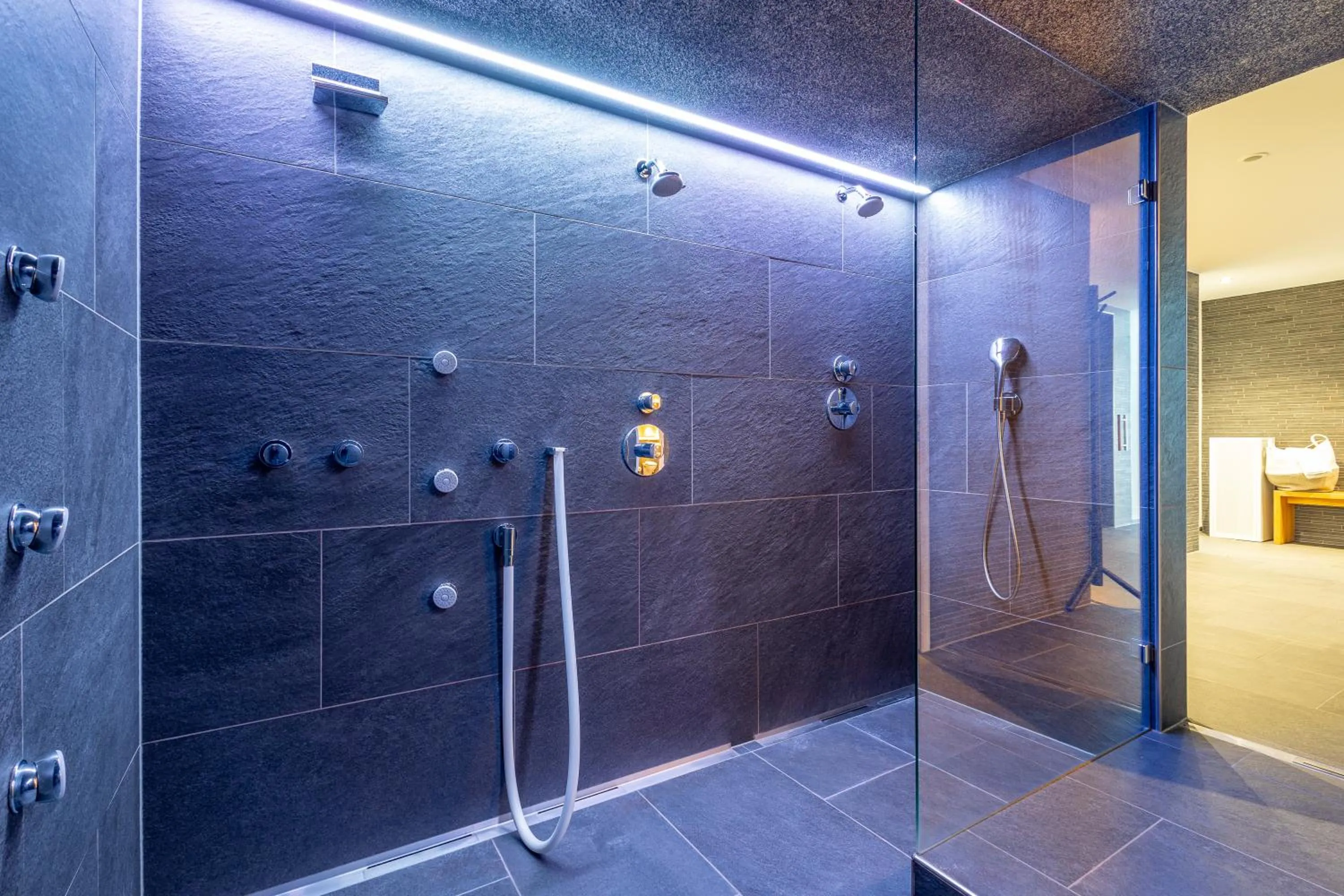 Spa and wellness centre/facilities in Hotel Dischma