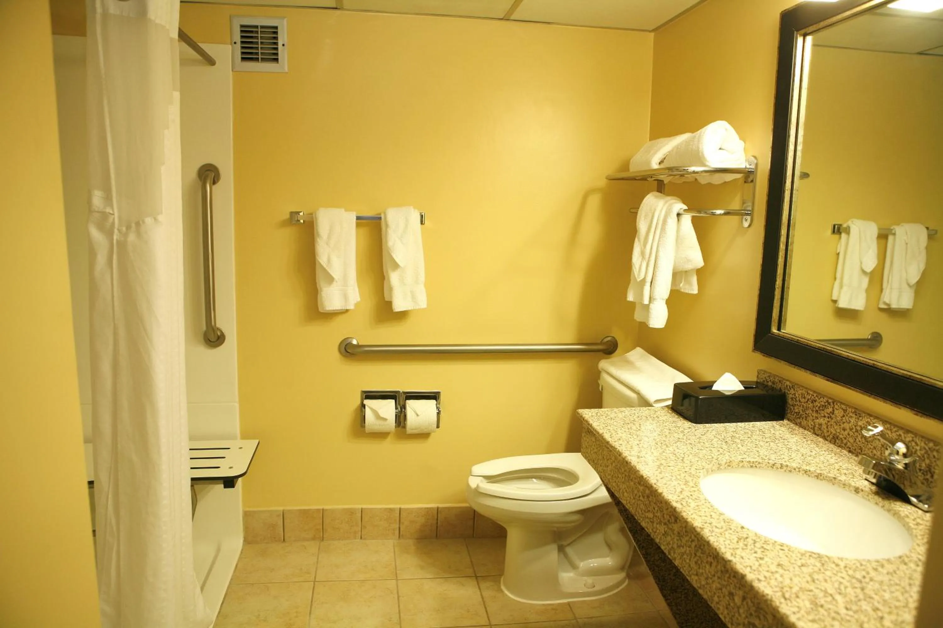 Bathroom in Best Western Plus Goldsboro