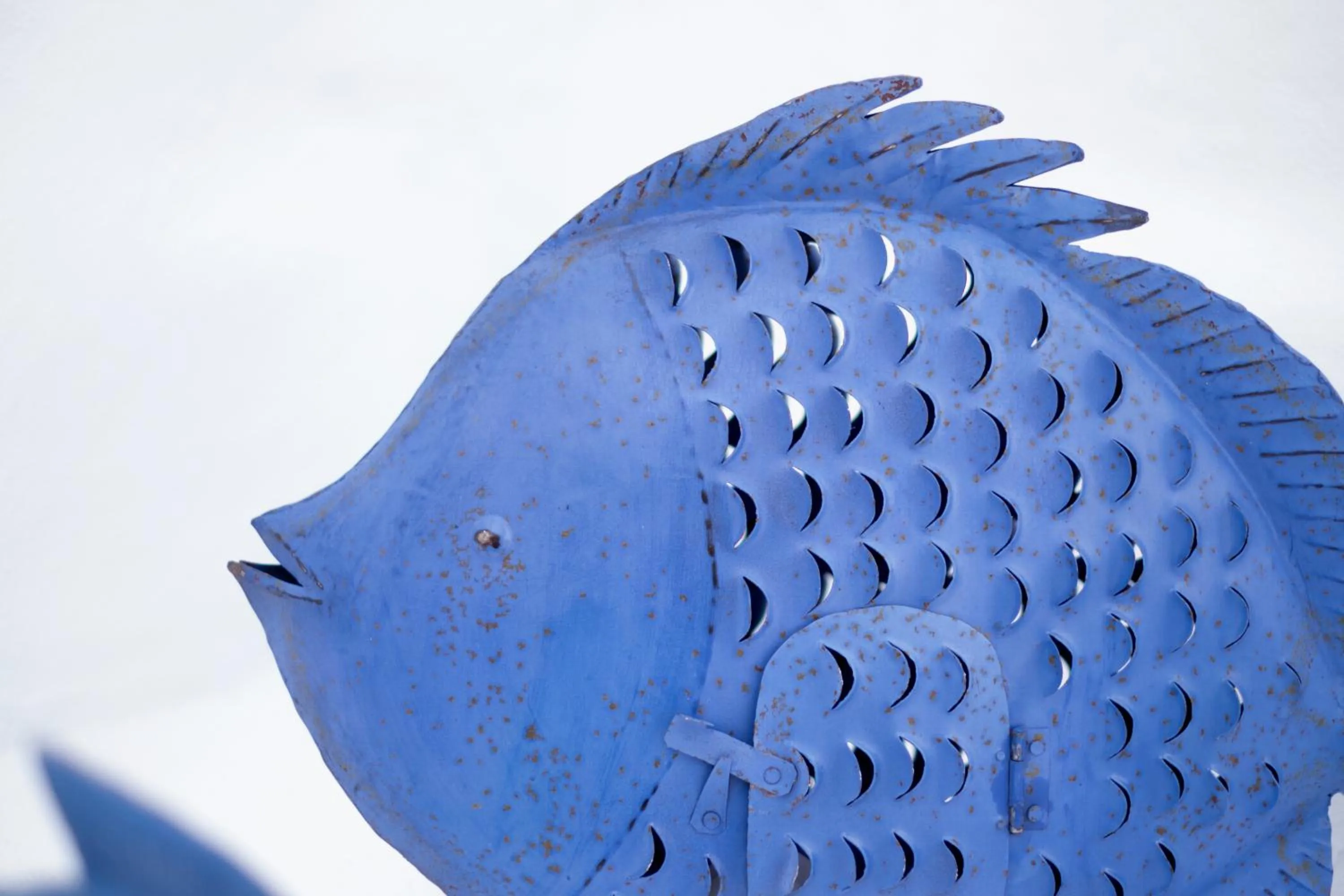 Patio in Hotel Ca S'Arader Turismo de Interior