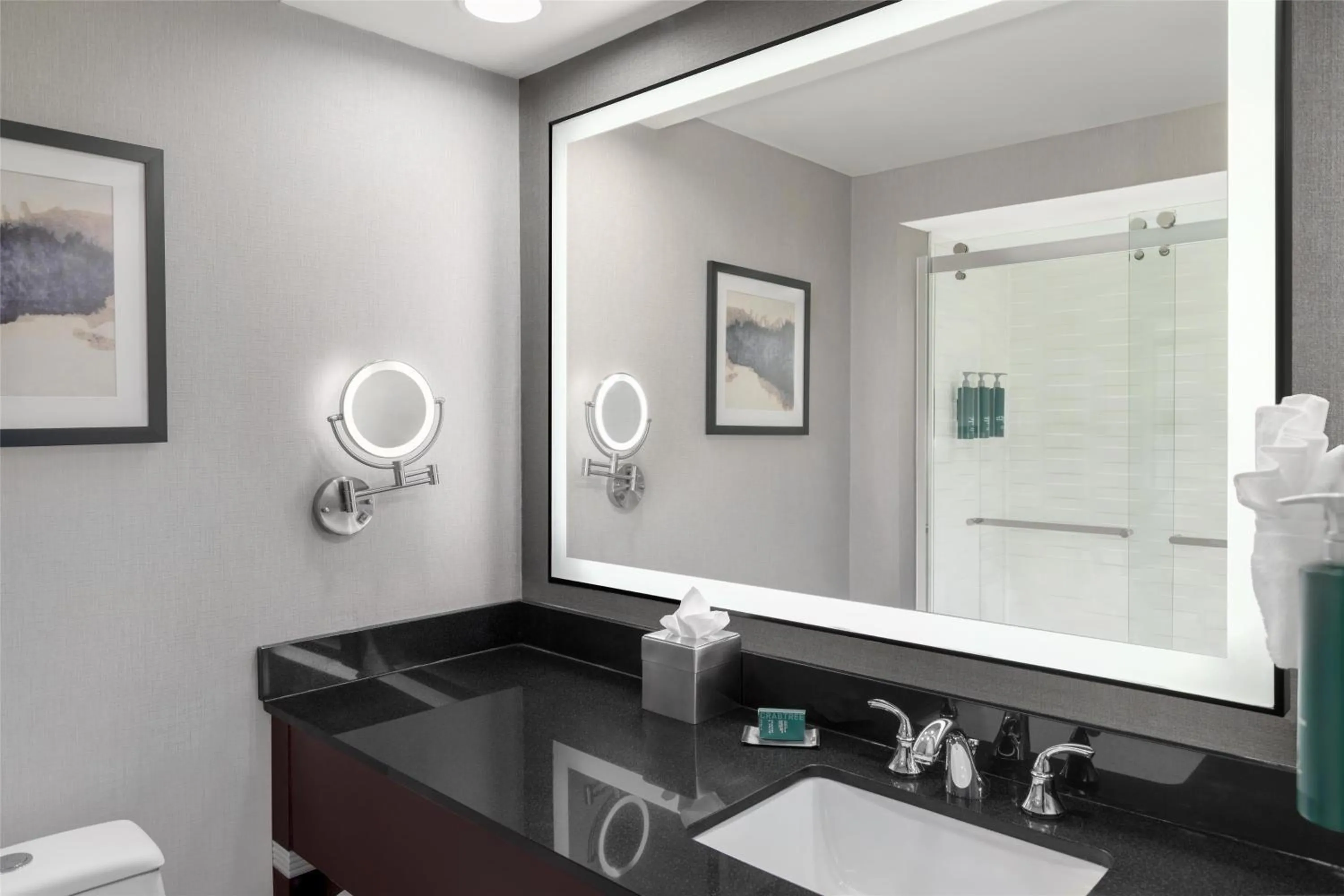 Bathroom in DoubleTree by Hilton Springdale