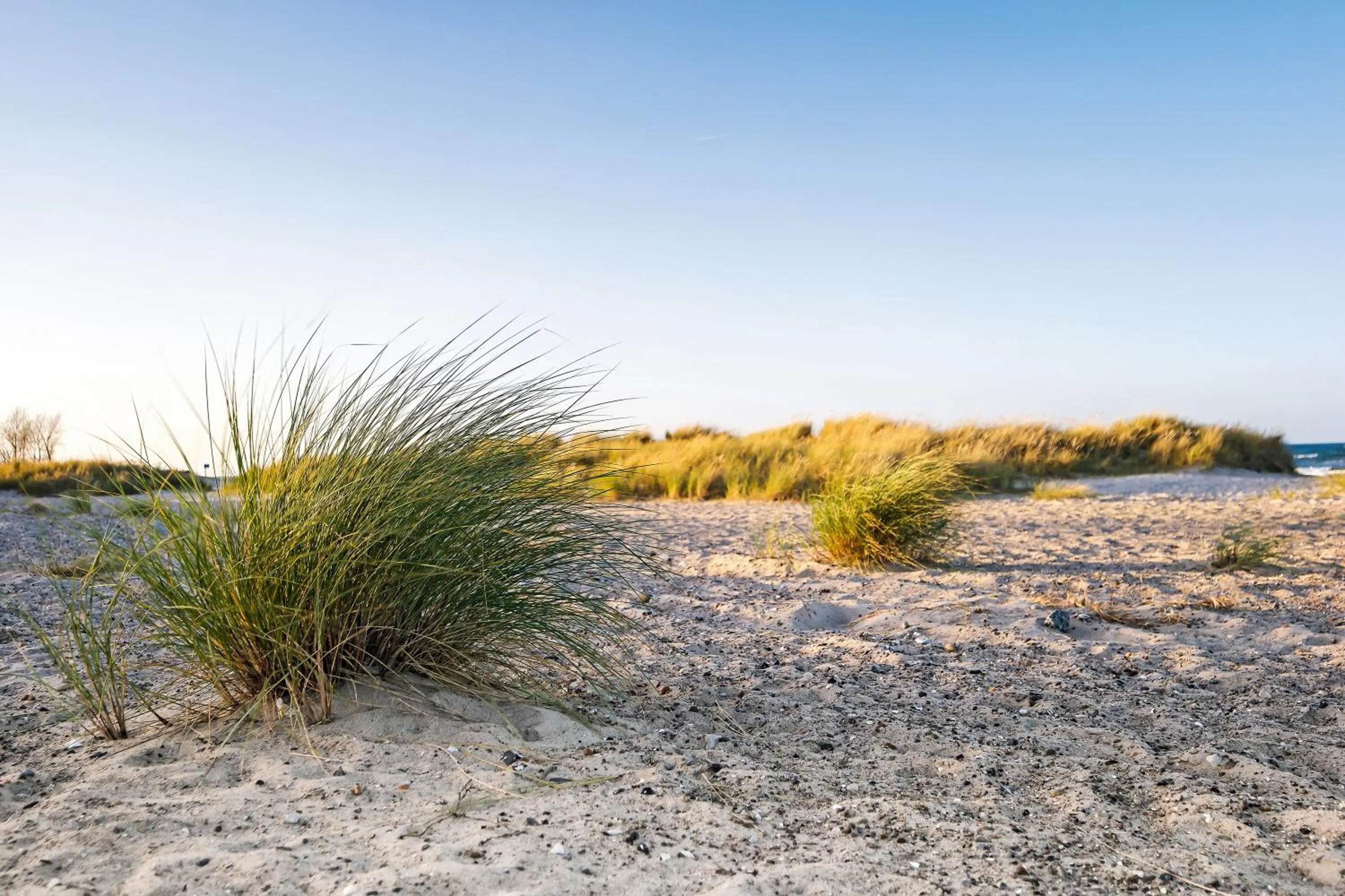 Natural landscape in Beach Motel Heiligenhafen