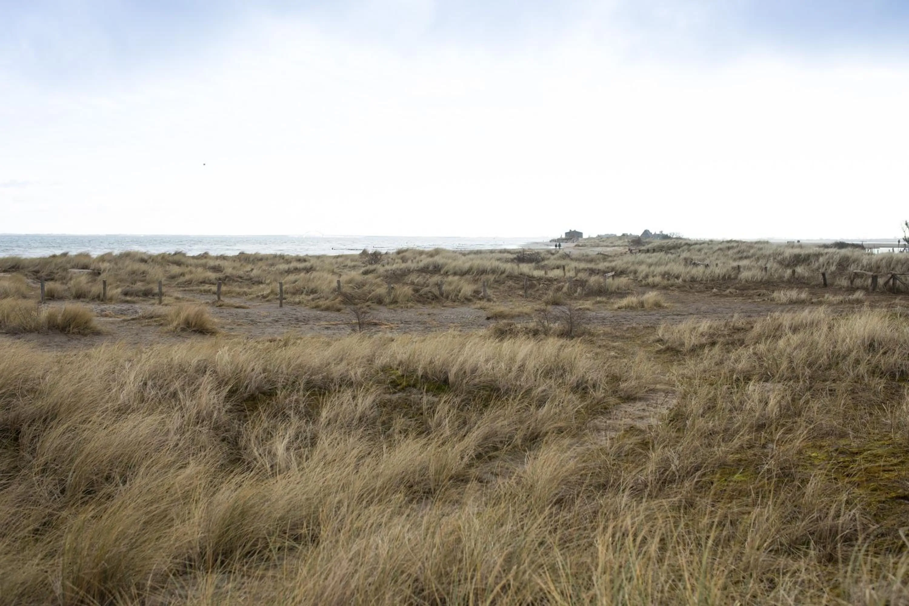 Natural landscape in Beach Motel Heiligenhafen