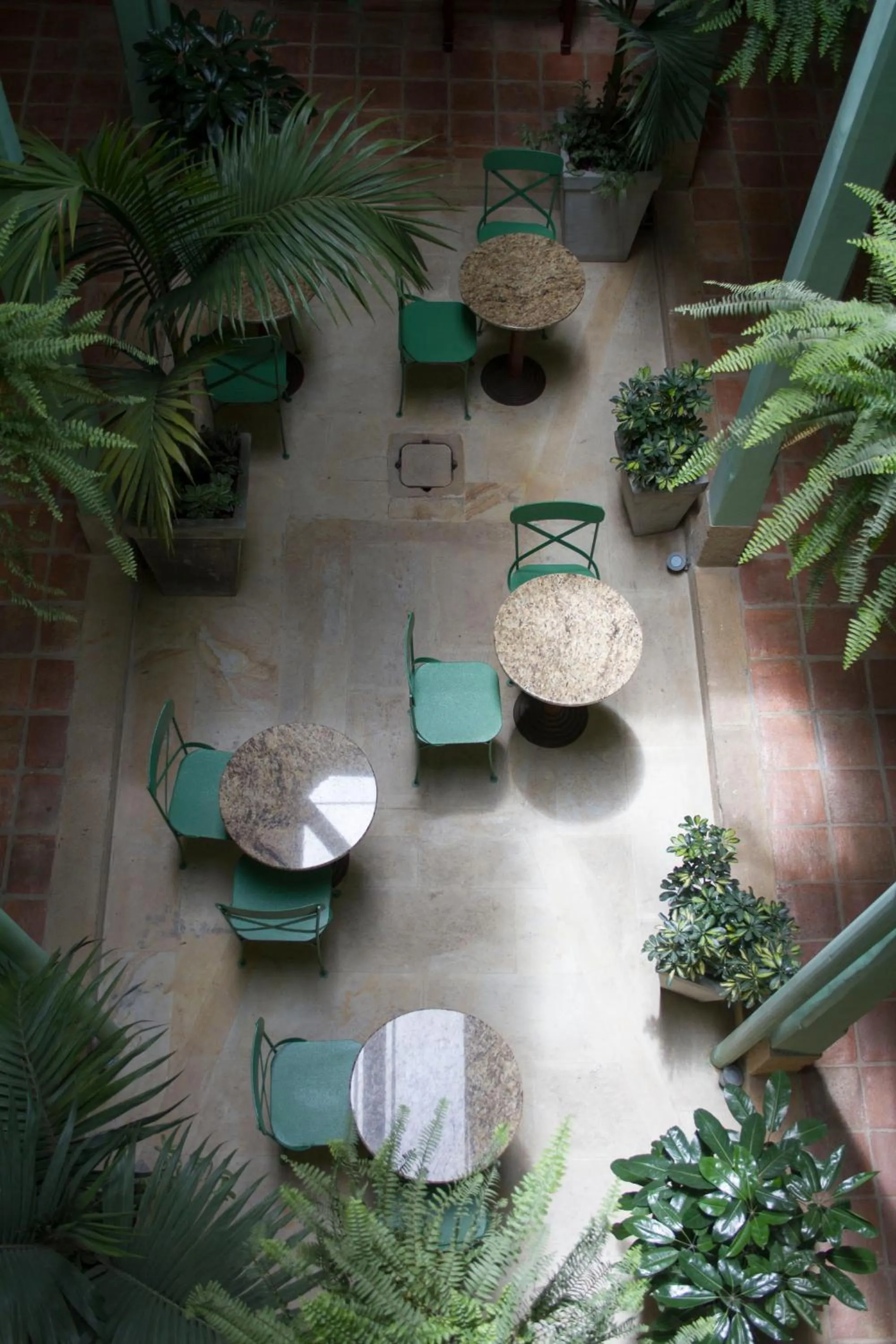 Garden in Hotel Casa de la Vega