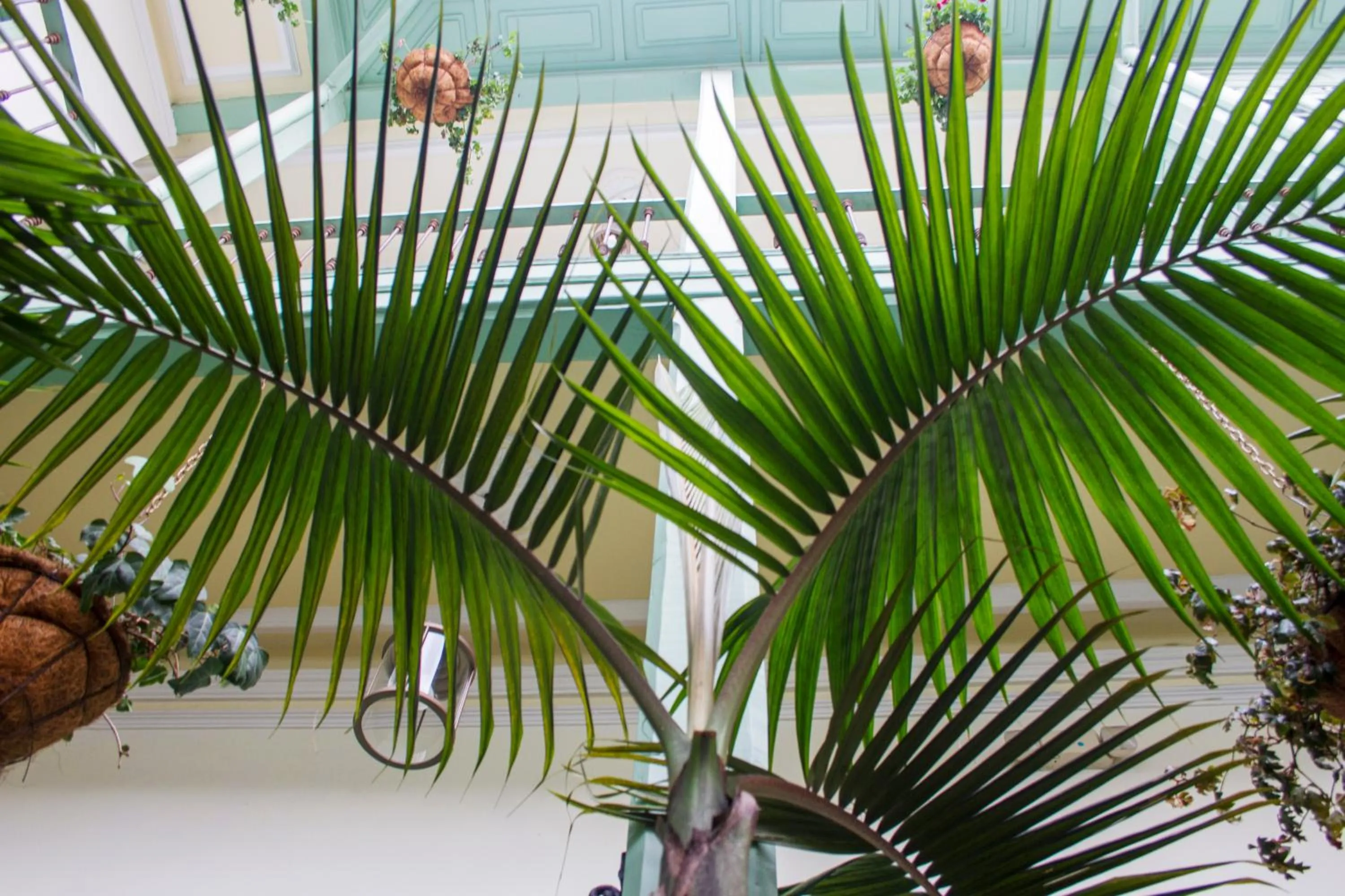 Garden in Hotel Casa de la Vega