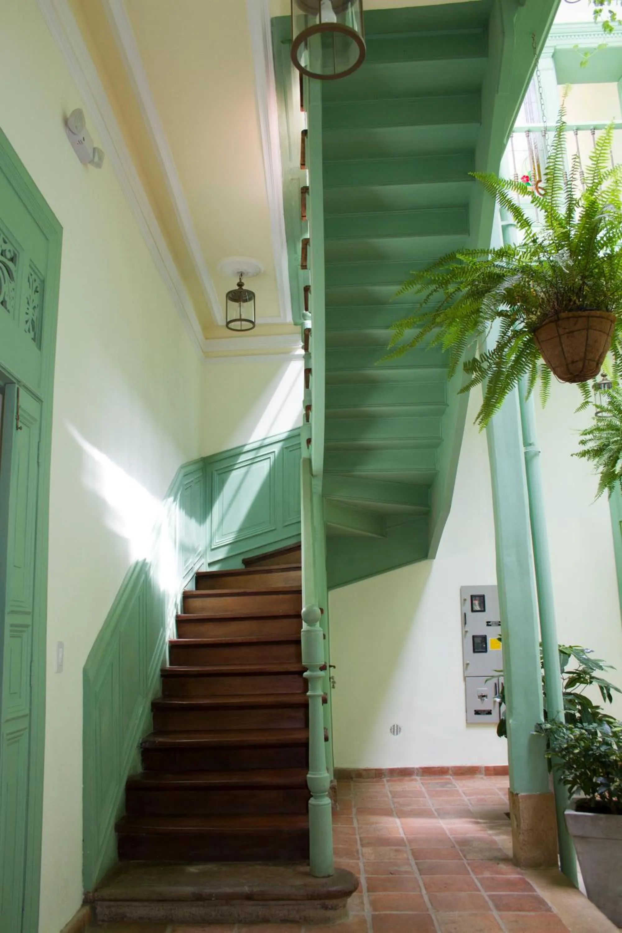 Garden in Hotel Casa de la Vega