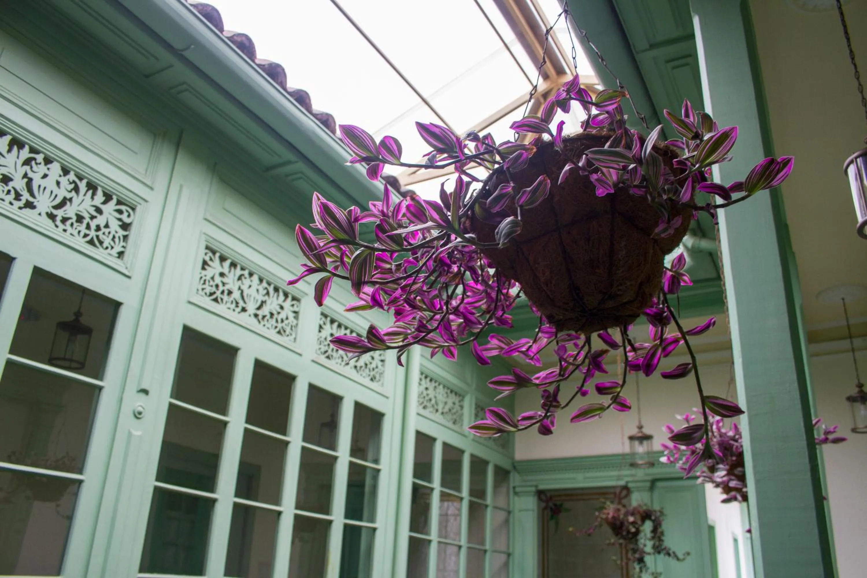 Property building in Hotel Casa de la Vega