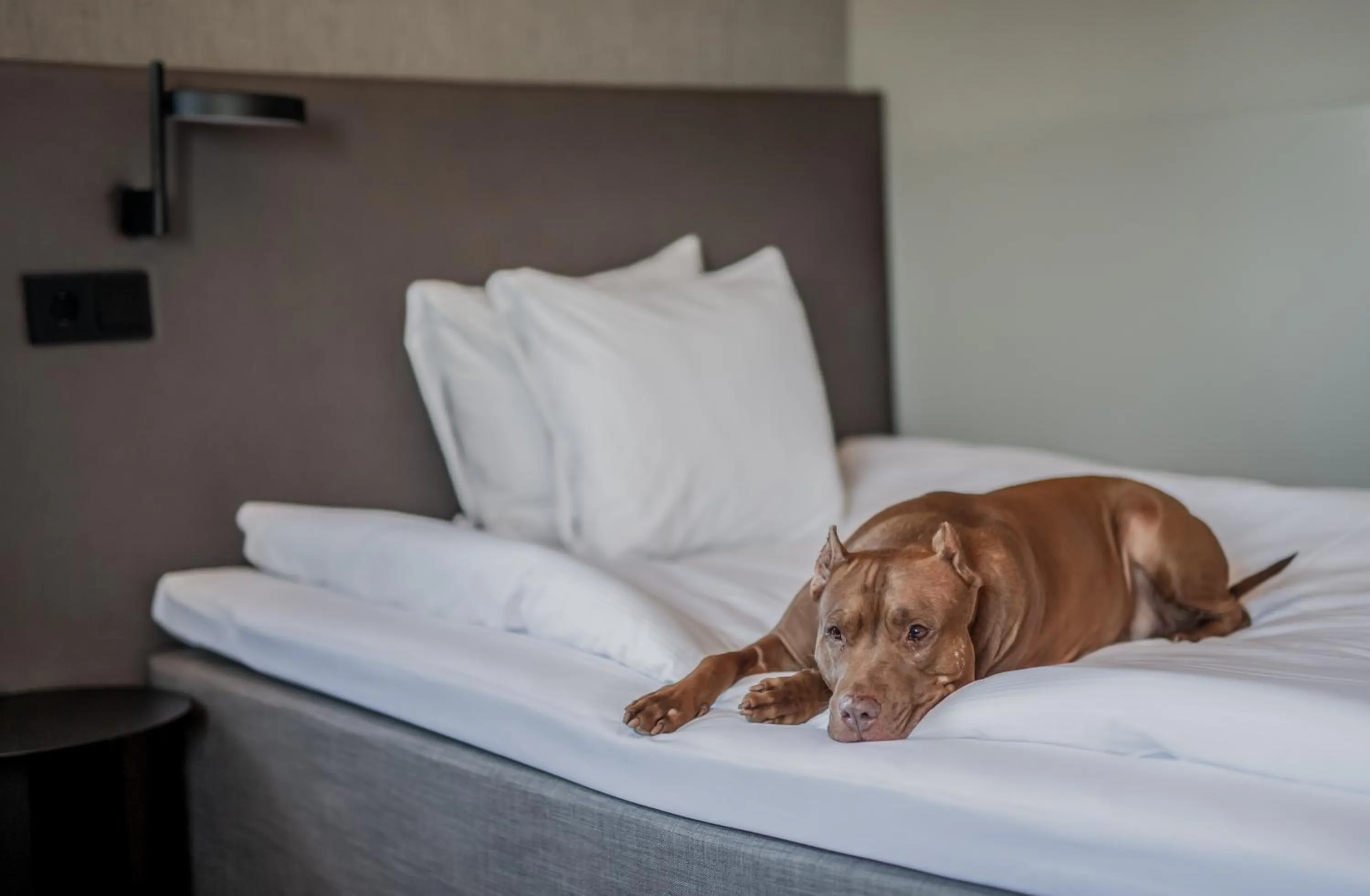 Bed in Quality Hotel Royal Corner