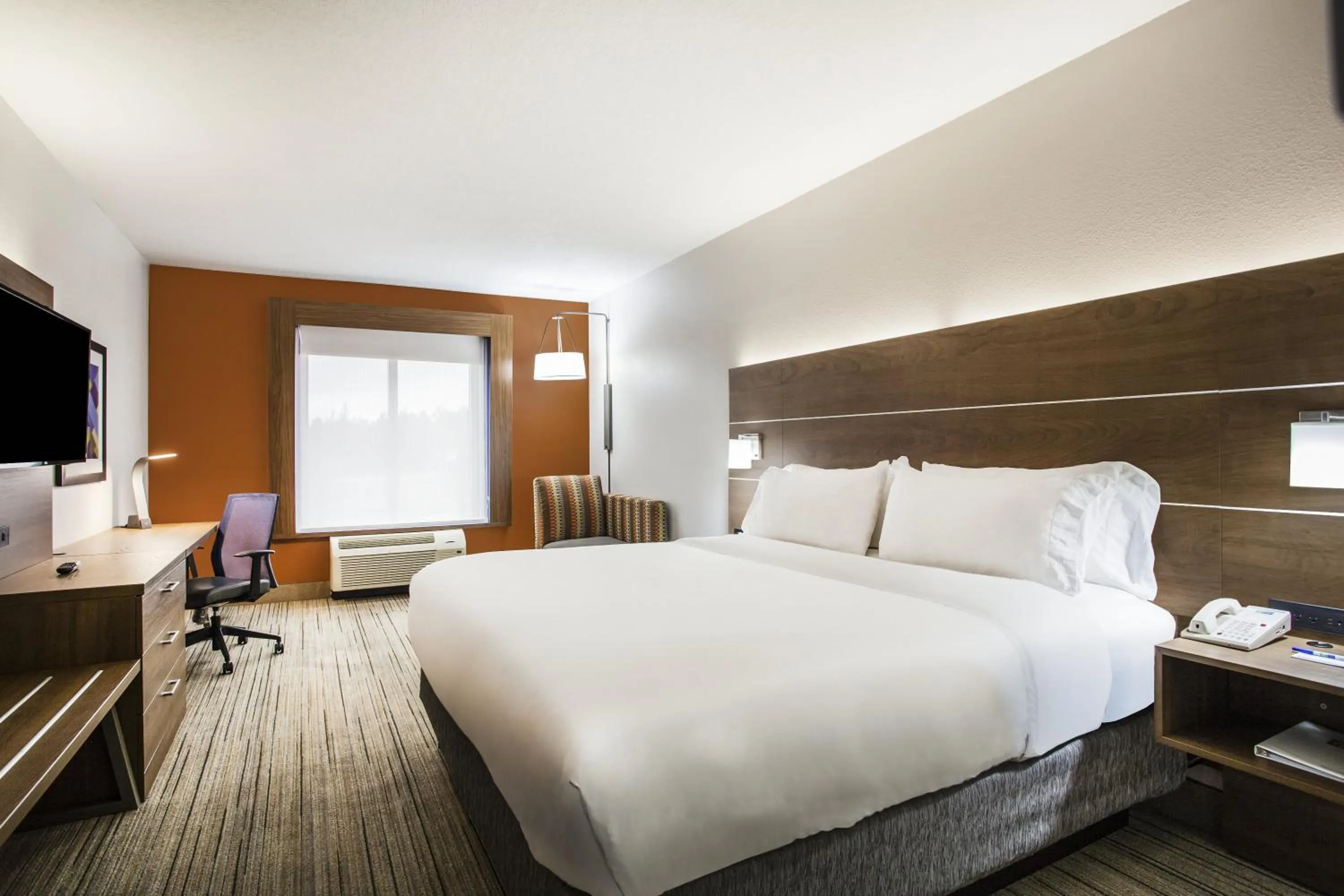 TV and multimedia, Bed in Holiday Inn Express Hotel & Suites Inverness by IHG