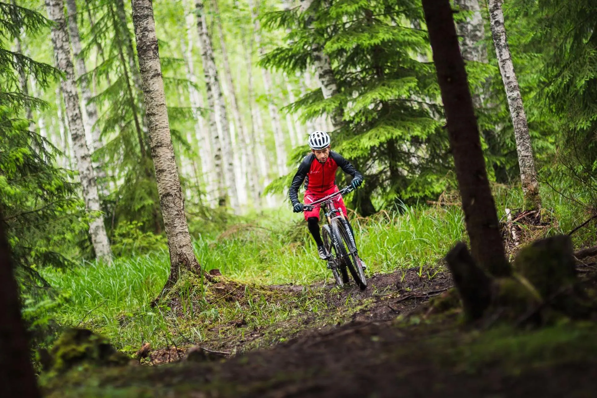 Activities in Högbo Brukshotell & Spa