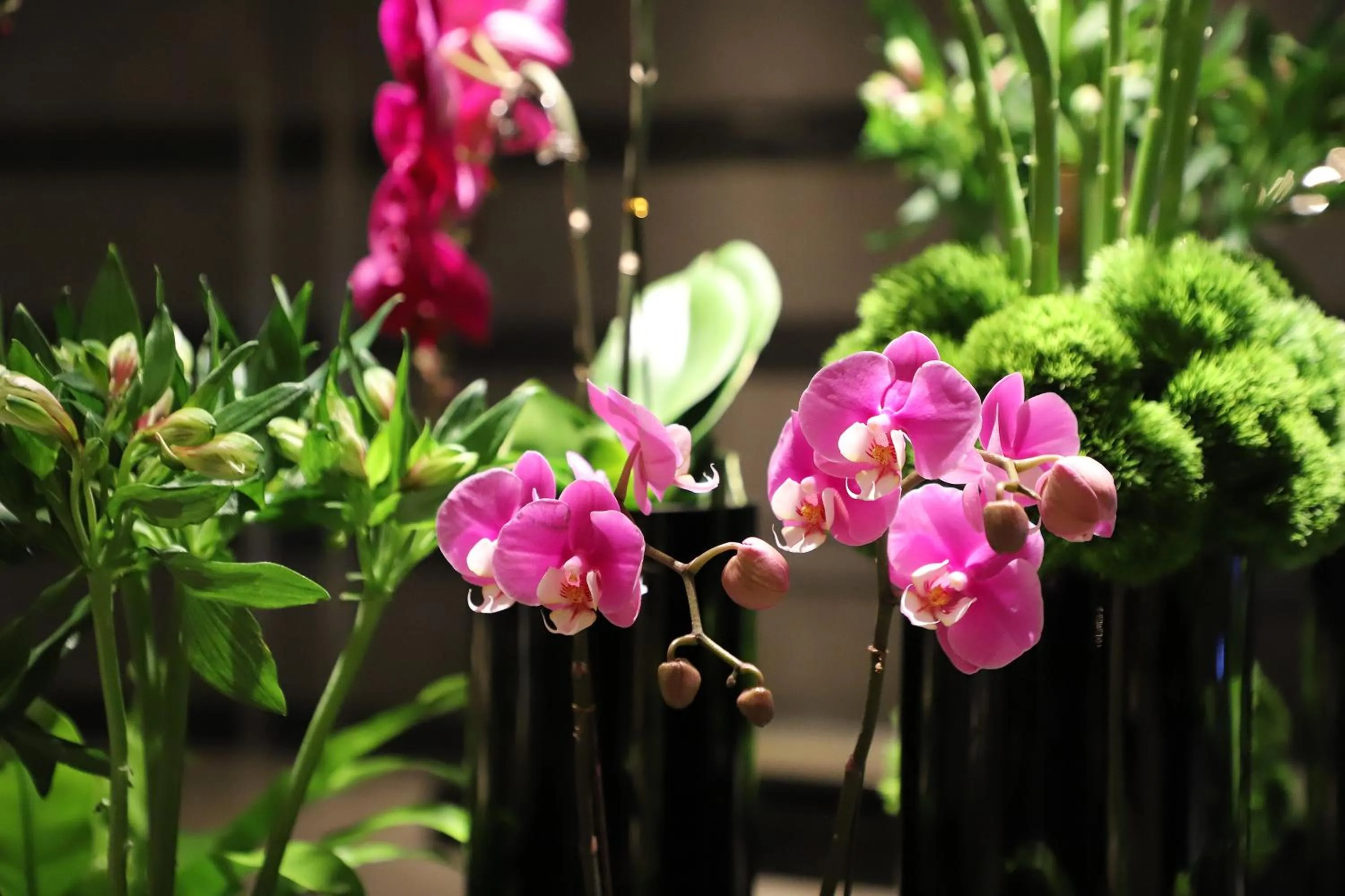 Area and facilities in Renaissance Beijing Capital Hotel