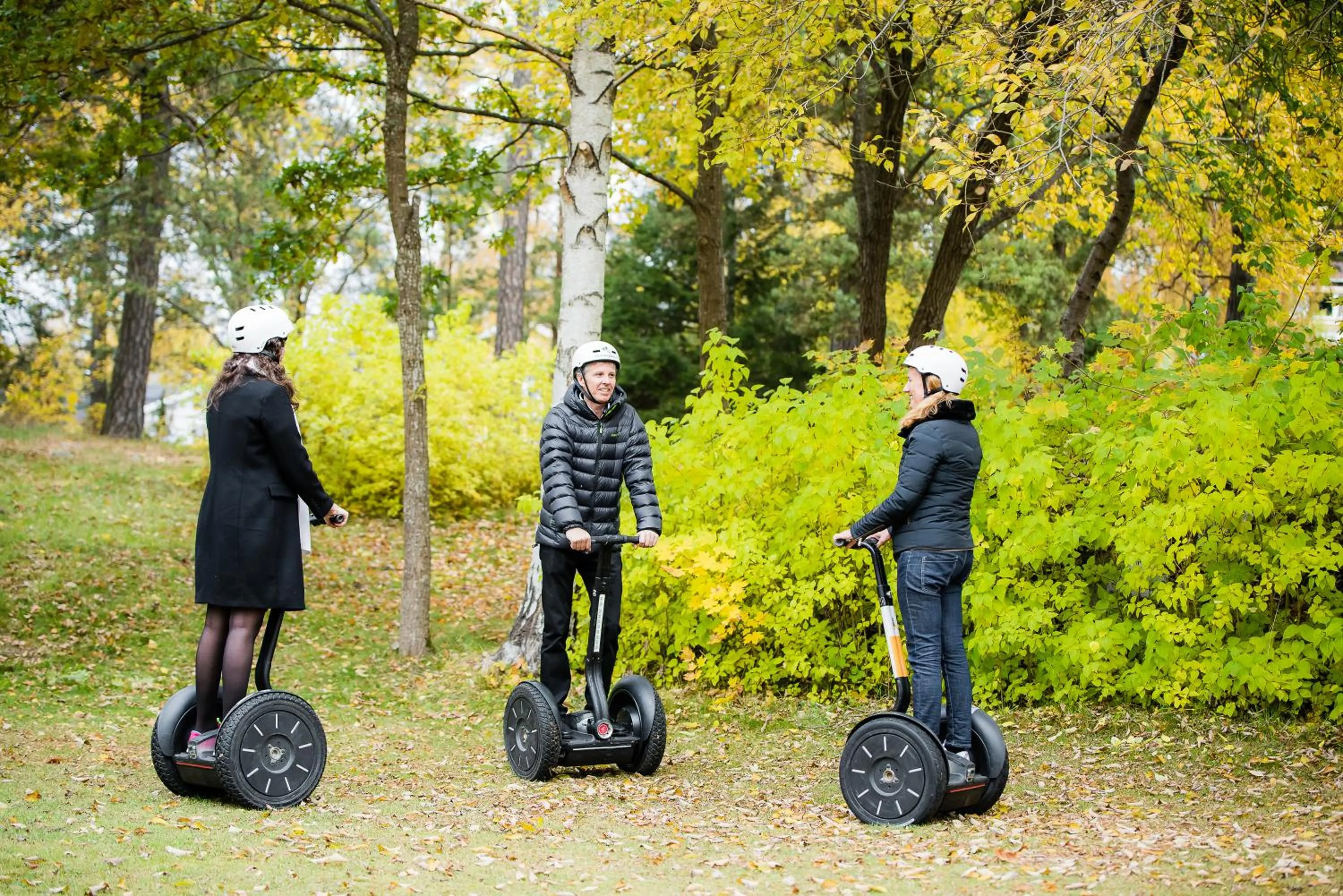 Sports in Nynäsgården Hotell & Konferens