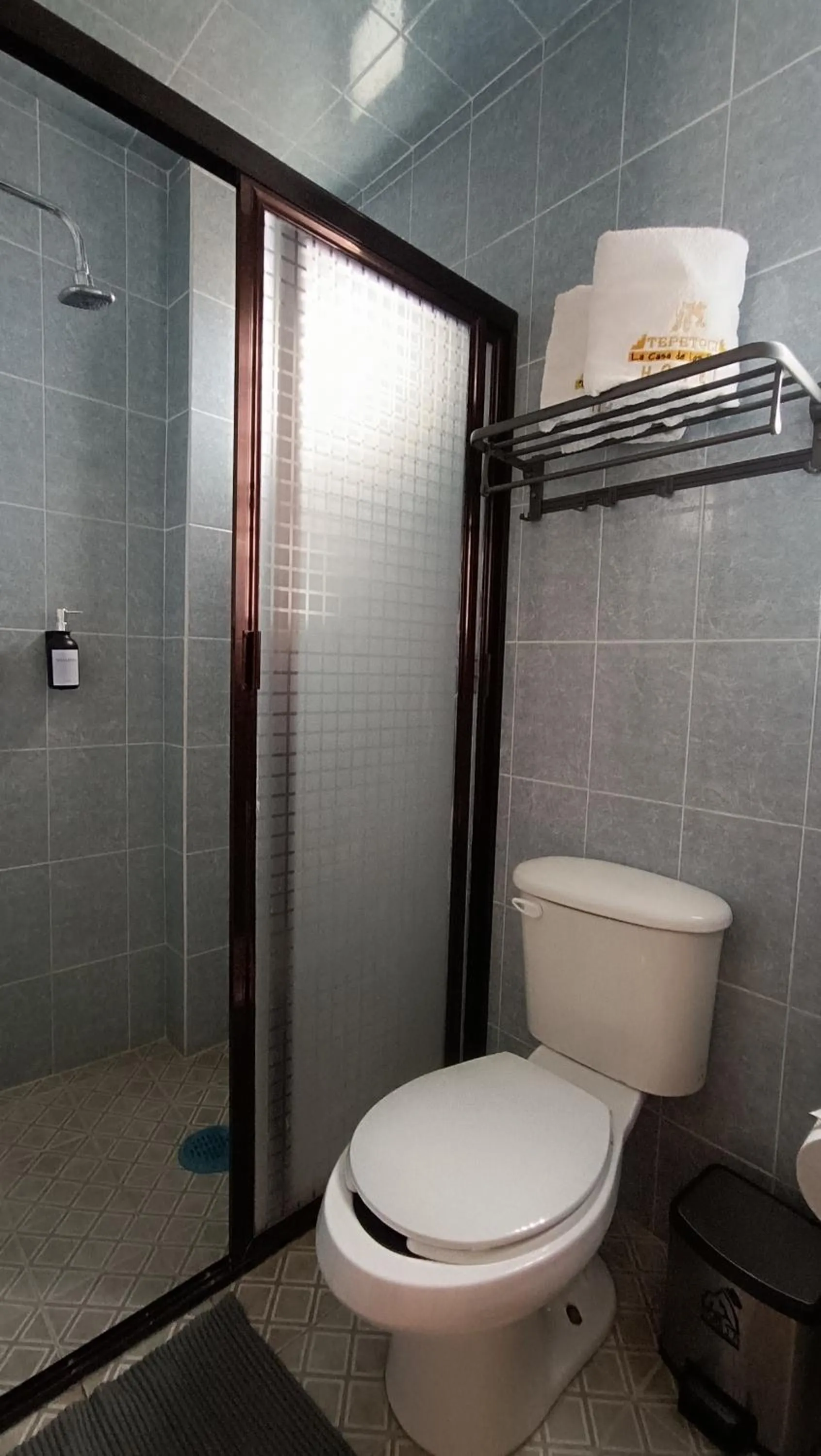 Hotel Real Campestre Tepetoci