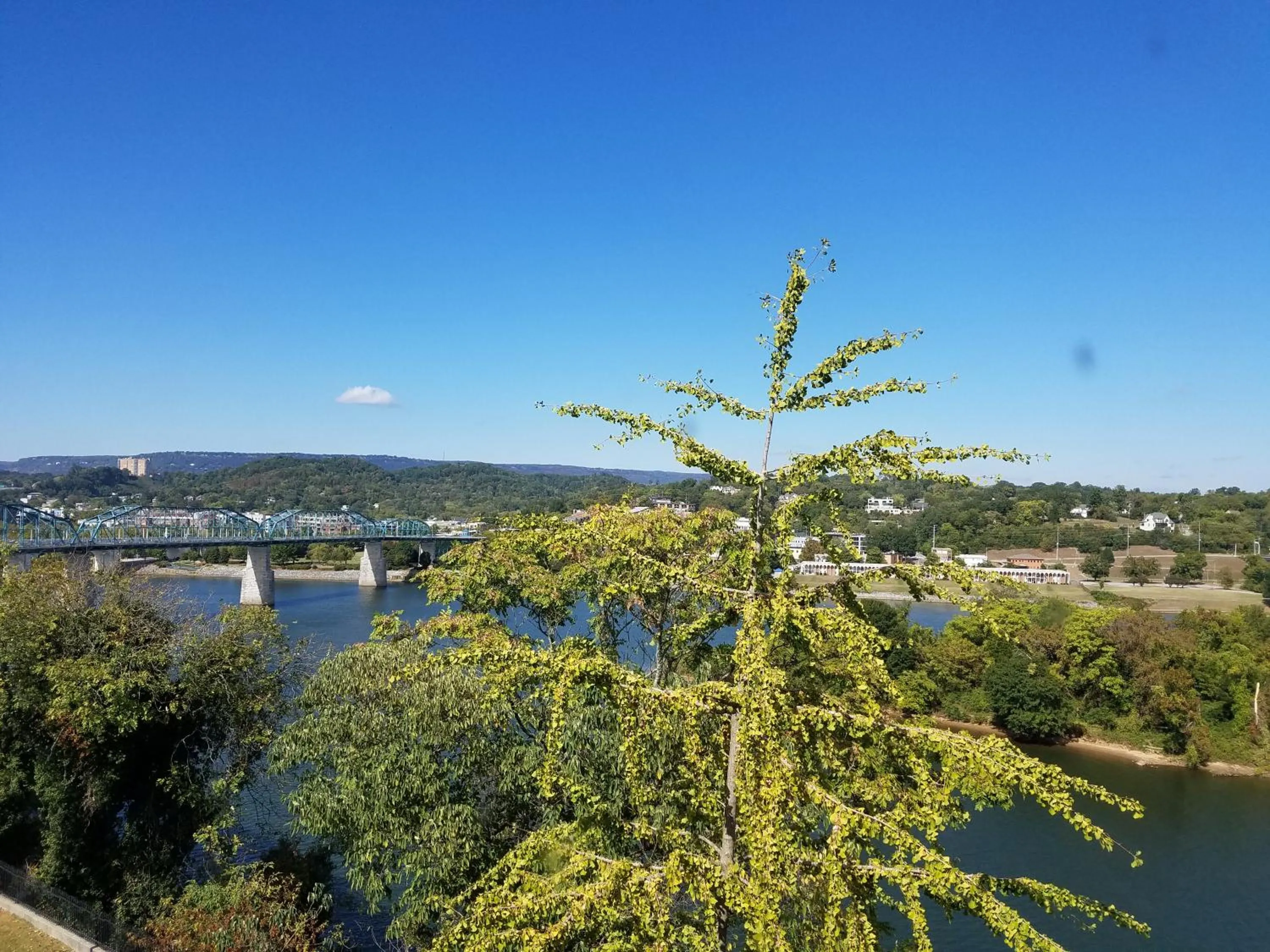 View (from property/room) in Bluff View Inn