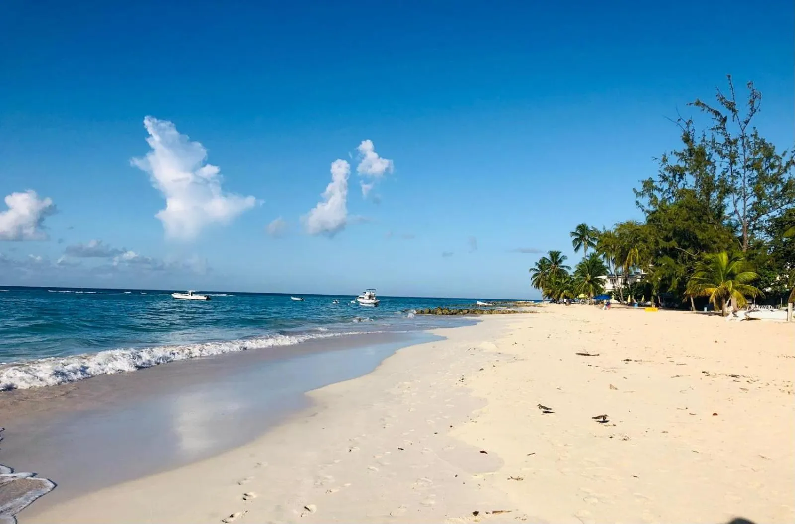 Melrose Beach Apartments Inc