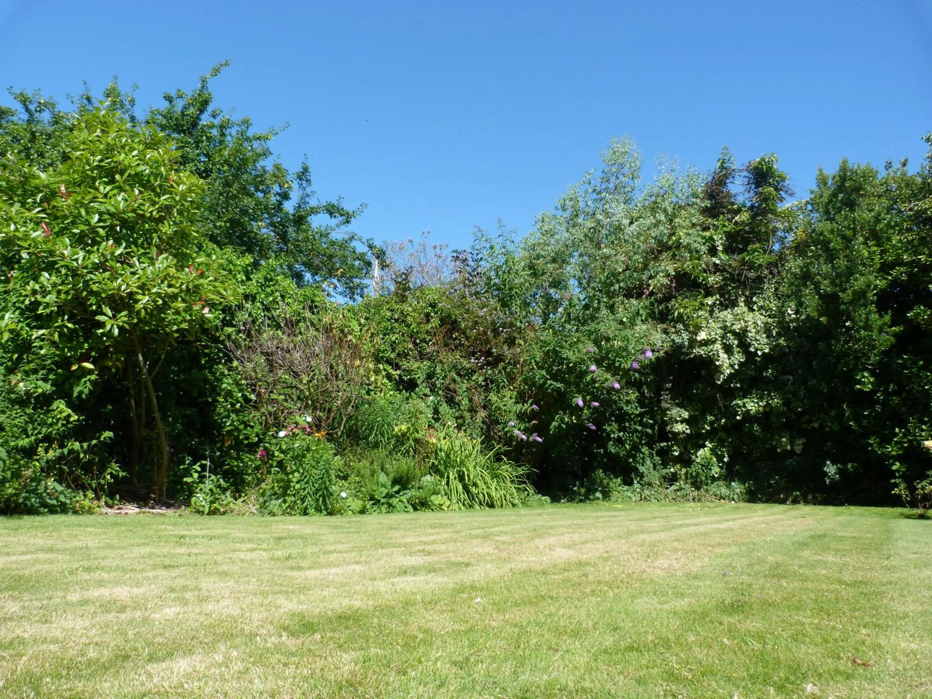 Garden in The Old Rectory B&B